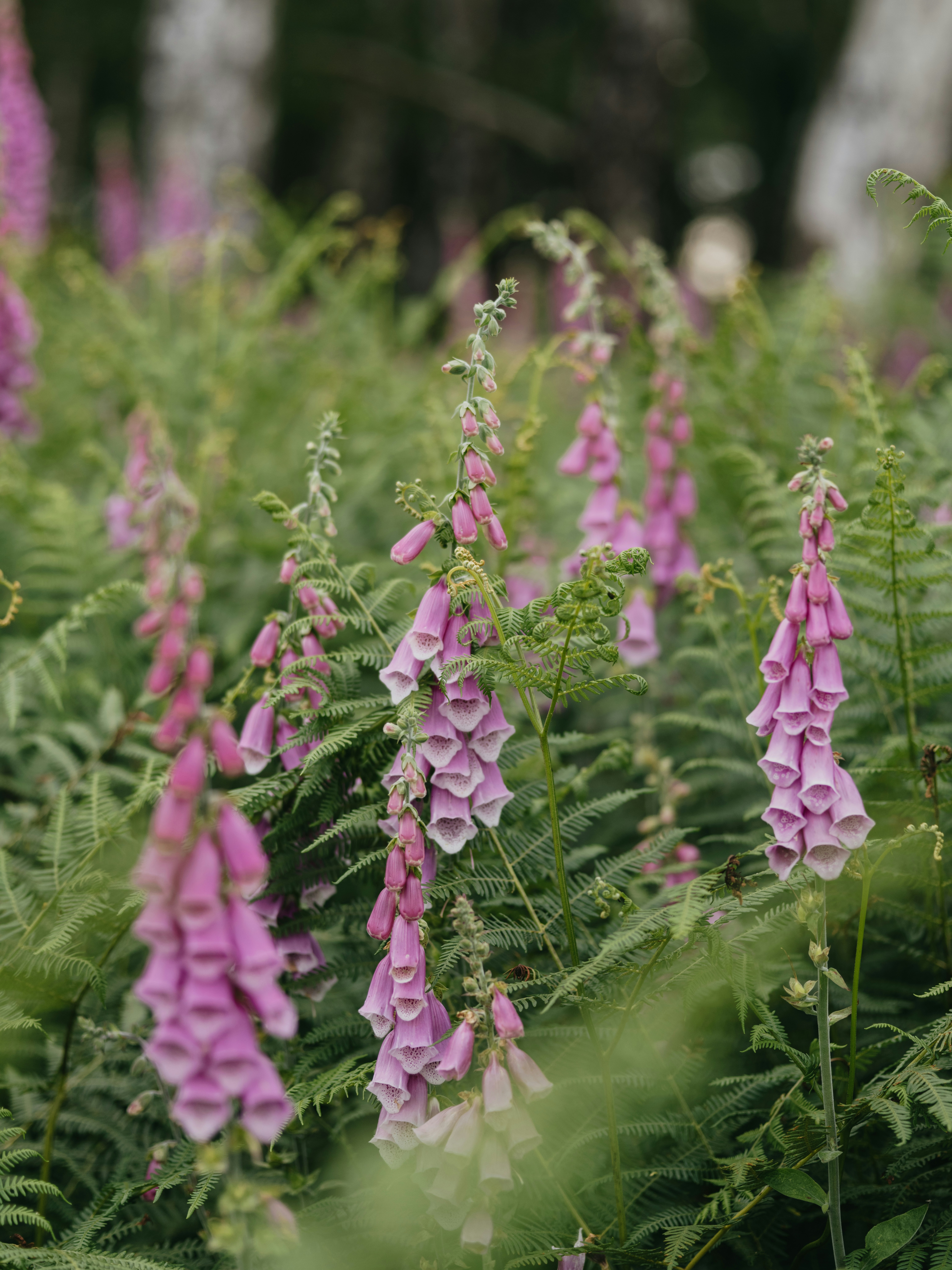 Photo by anniespratt