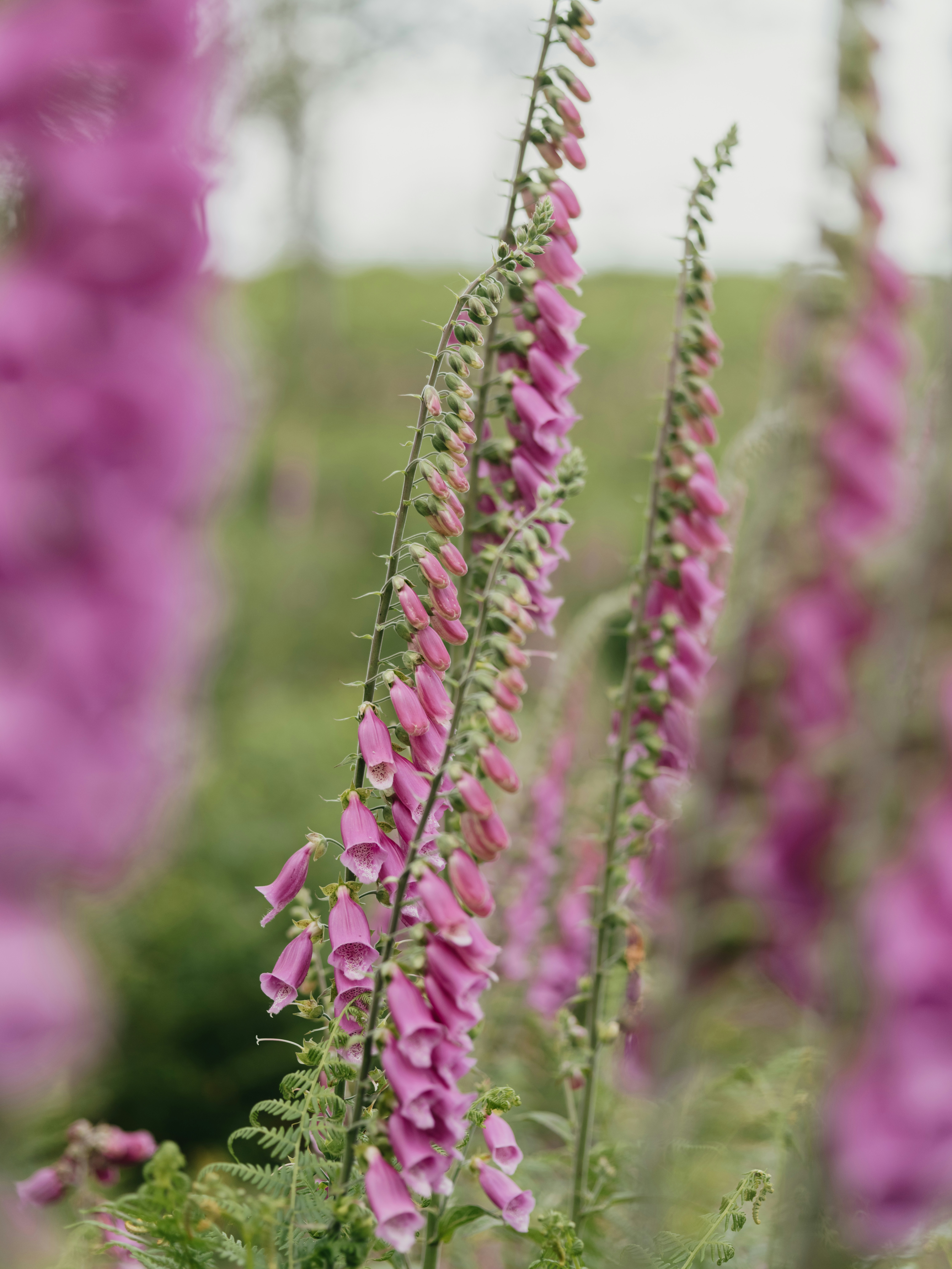 Photo by anniespratt