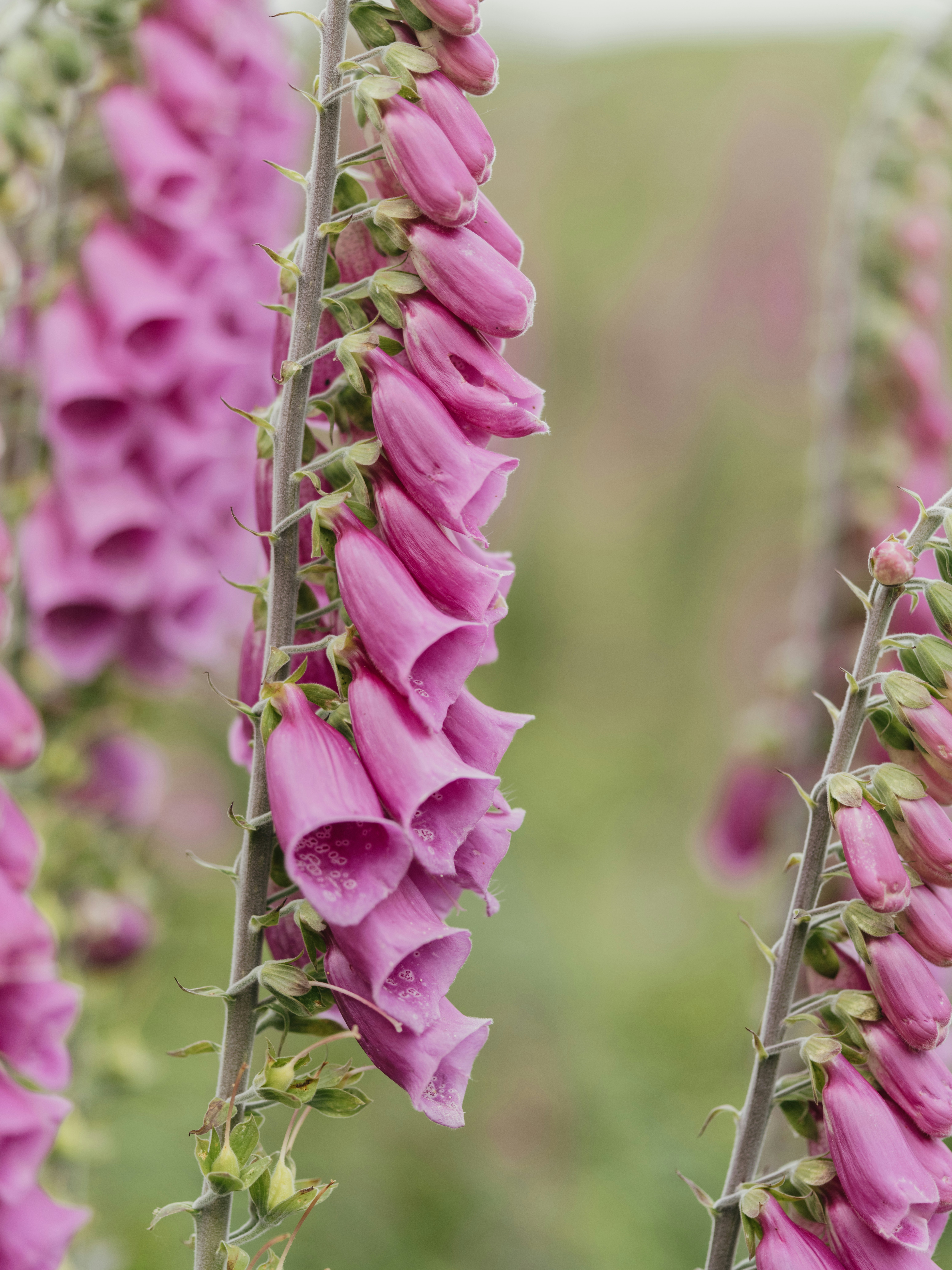 Photo by anniespratt