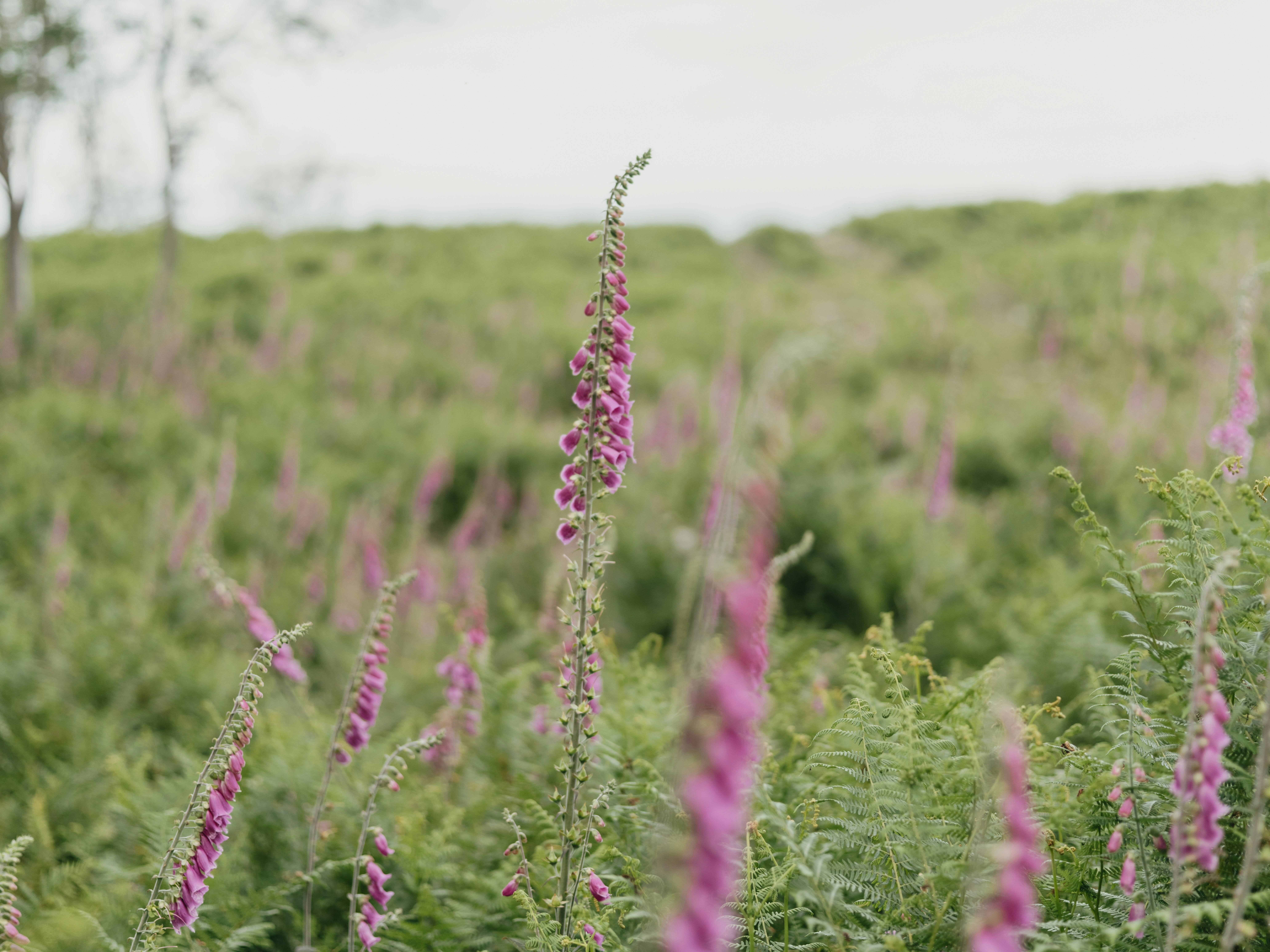 Photo by anniespratt