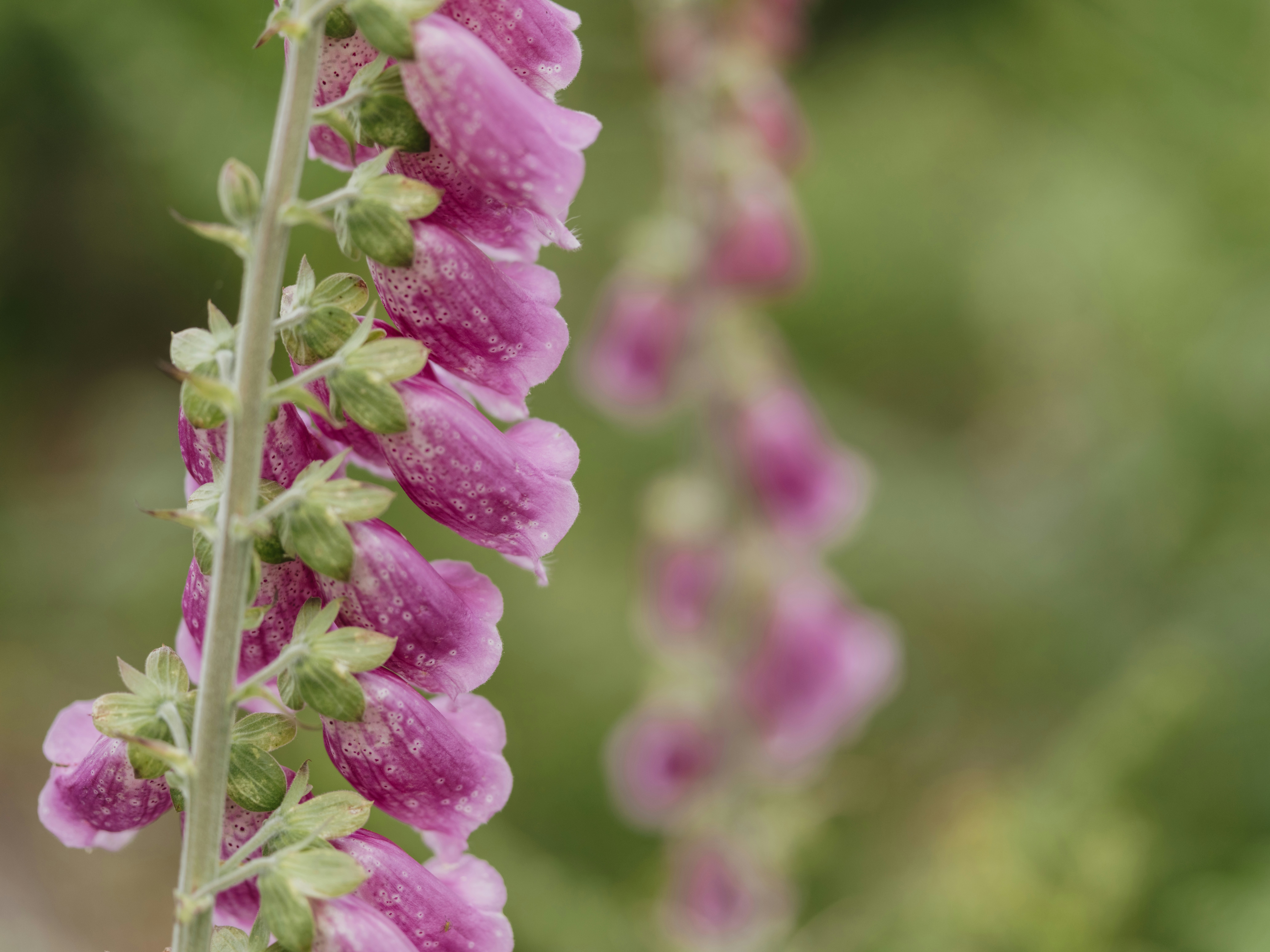 Photo by anniespratt