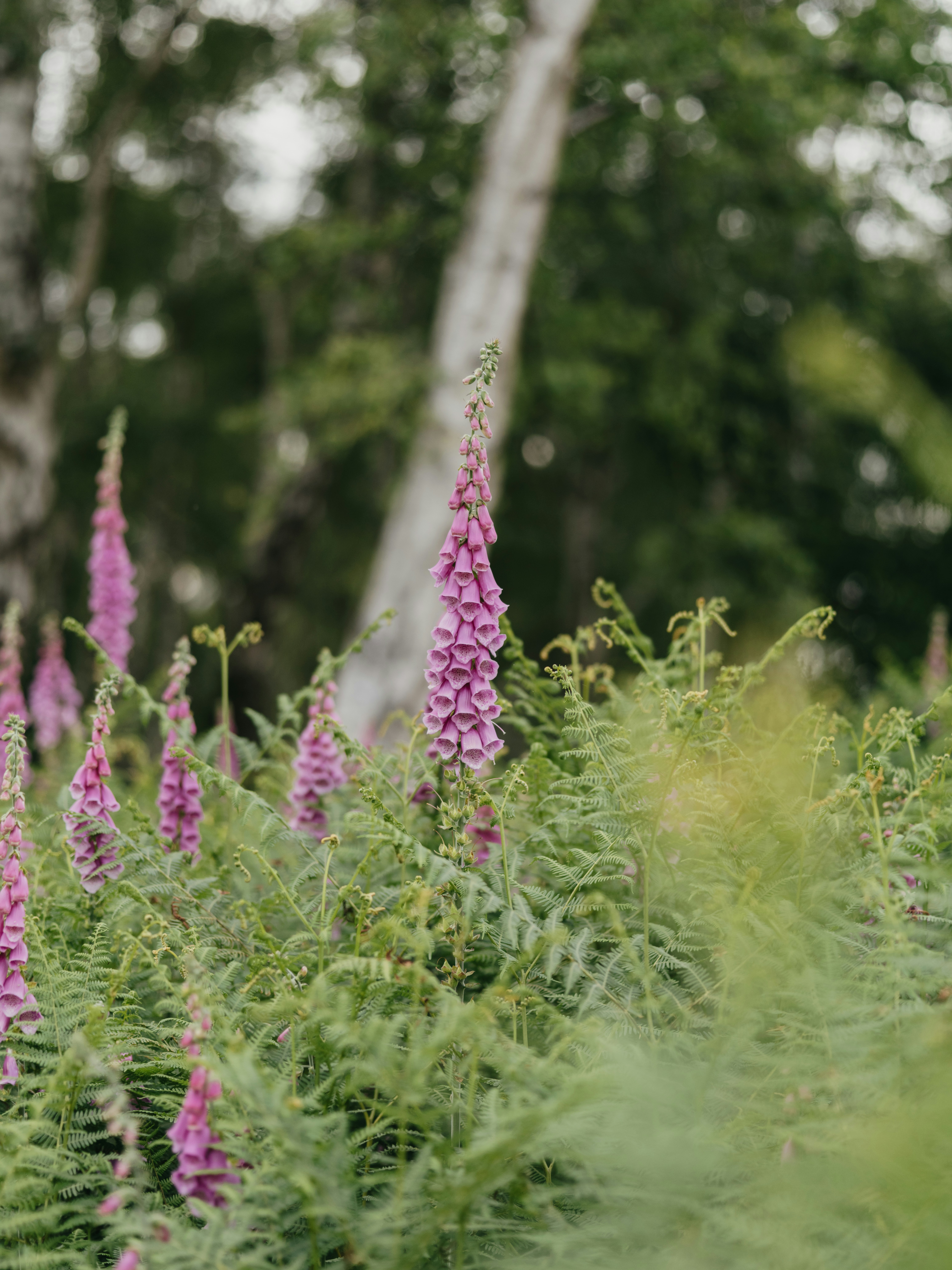 Photo by anniespratt