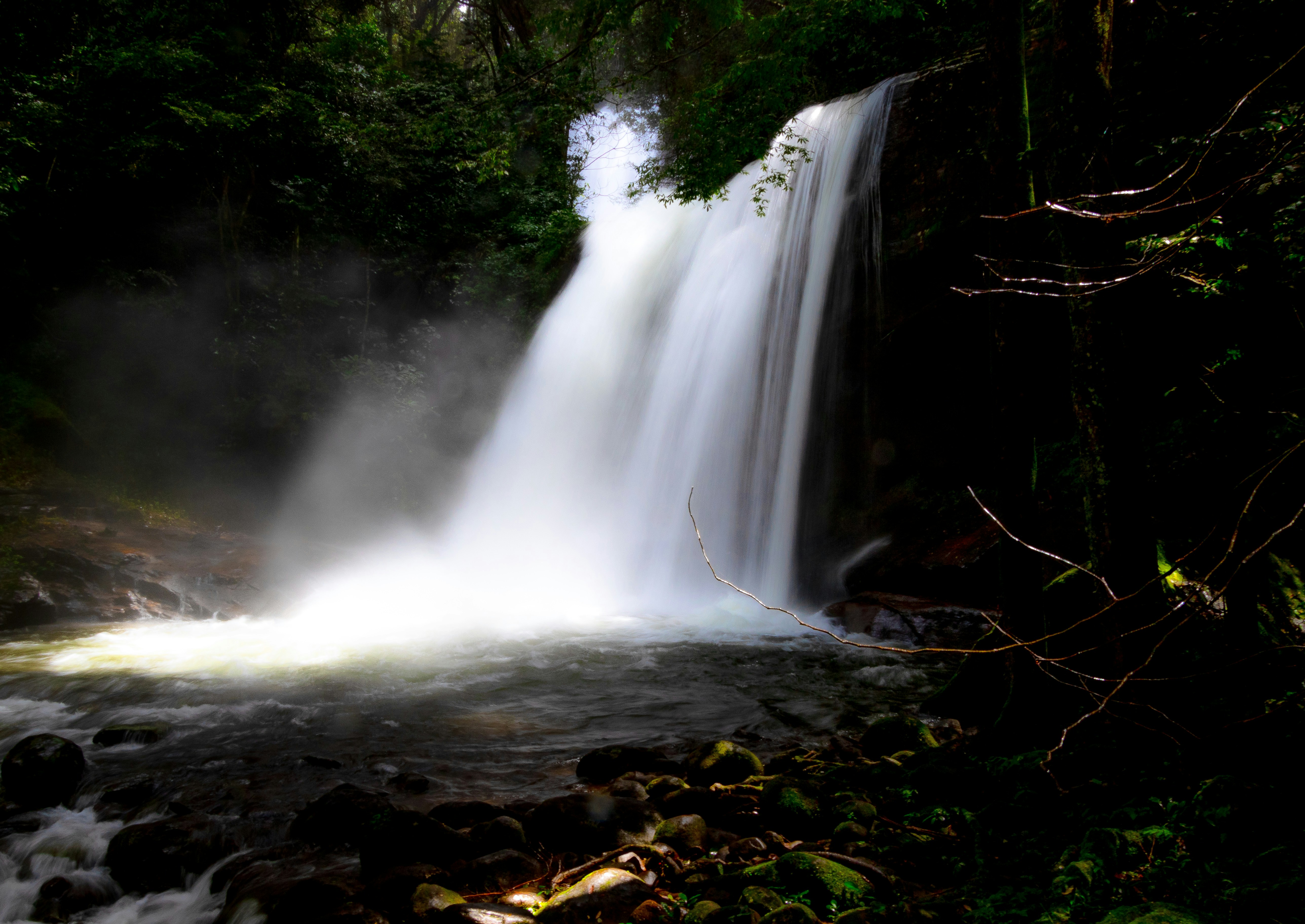 Photo by starkie_pics