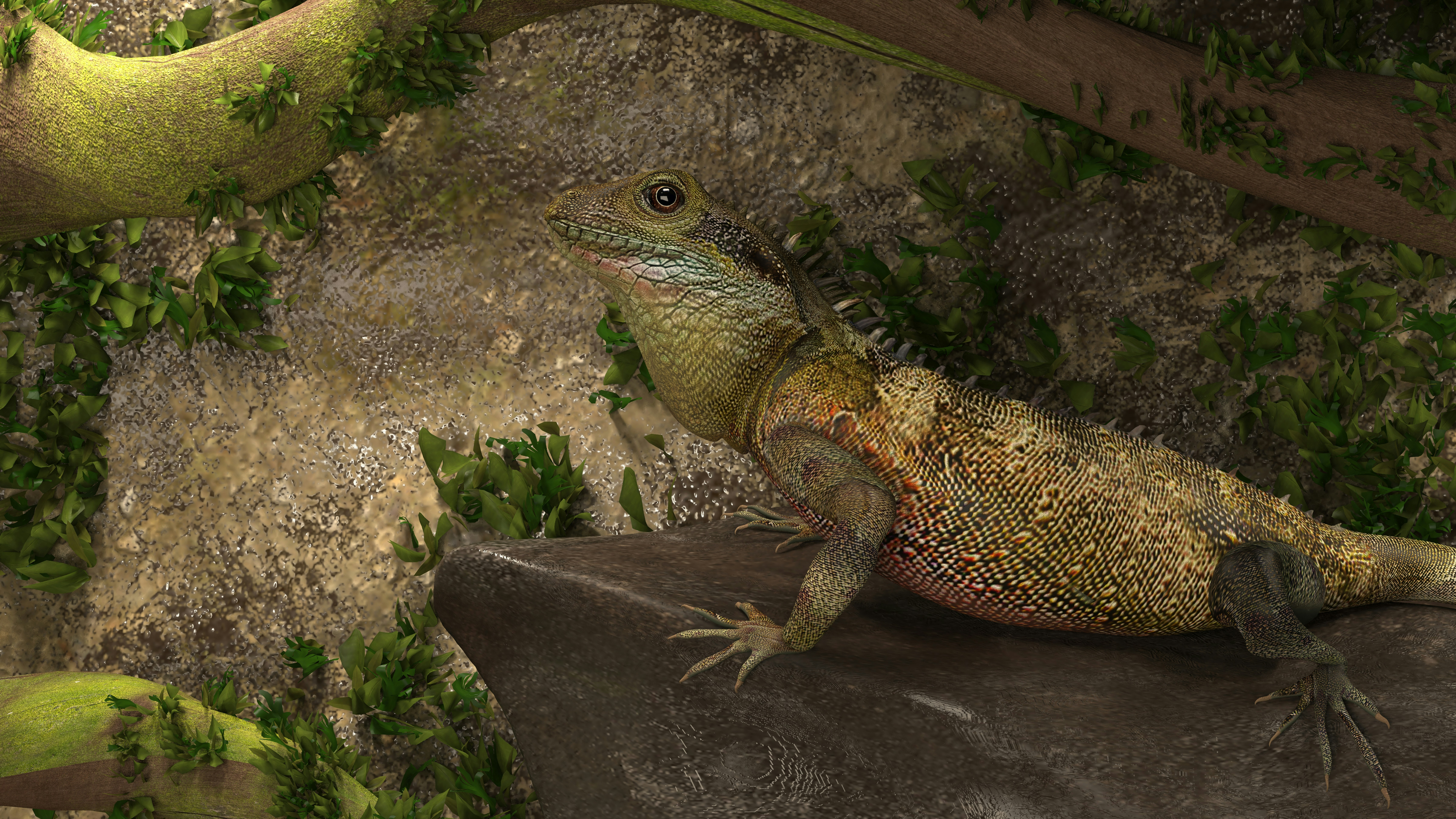 a lizard sitting on top of a rock next to a tree