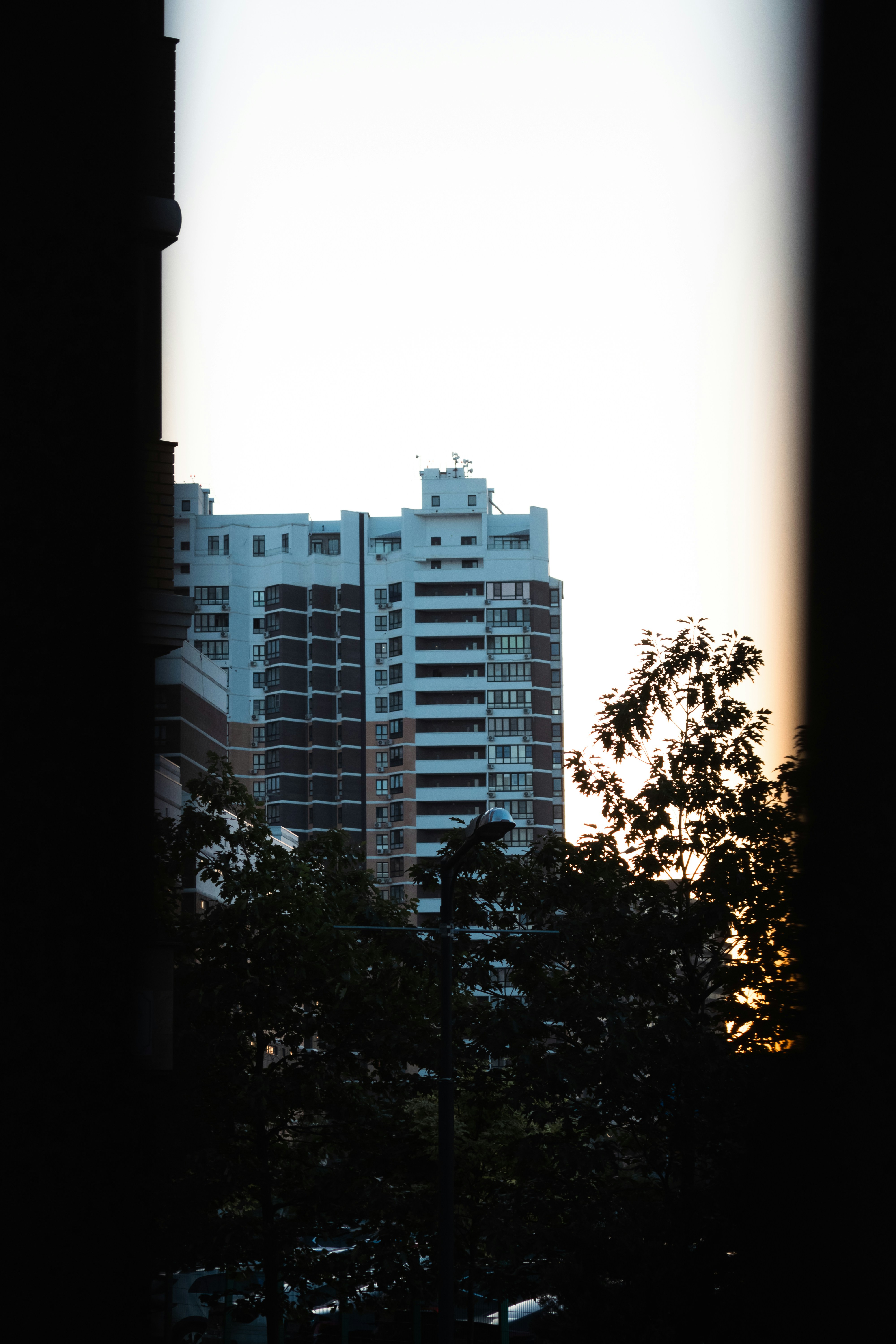 Photo by crissnamon