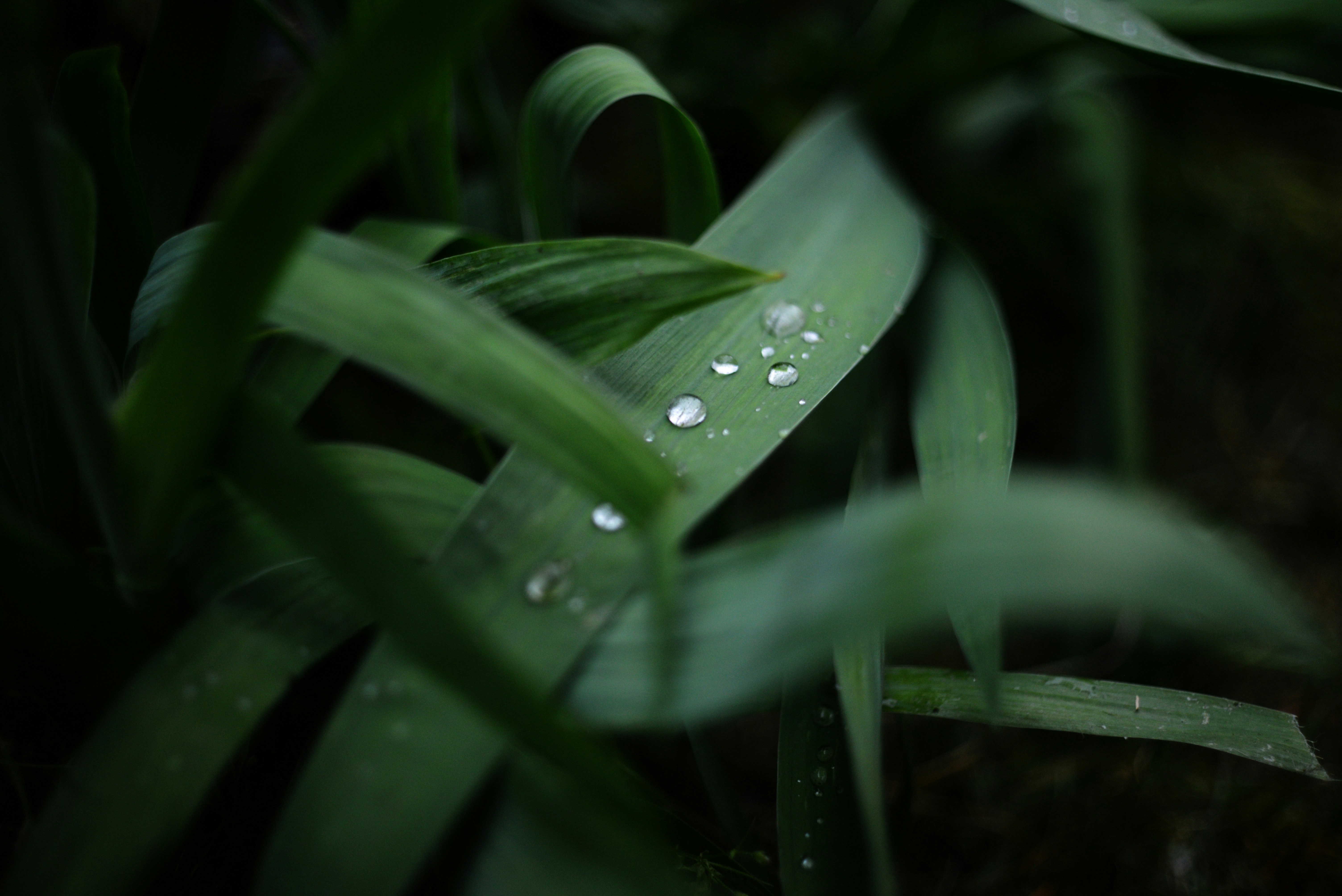 Photo by cherstve_pechivo