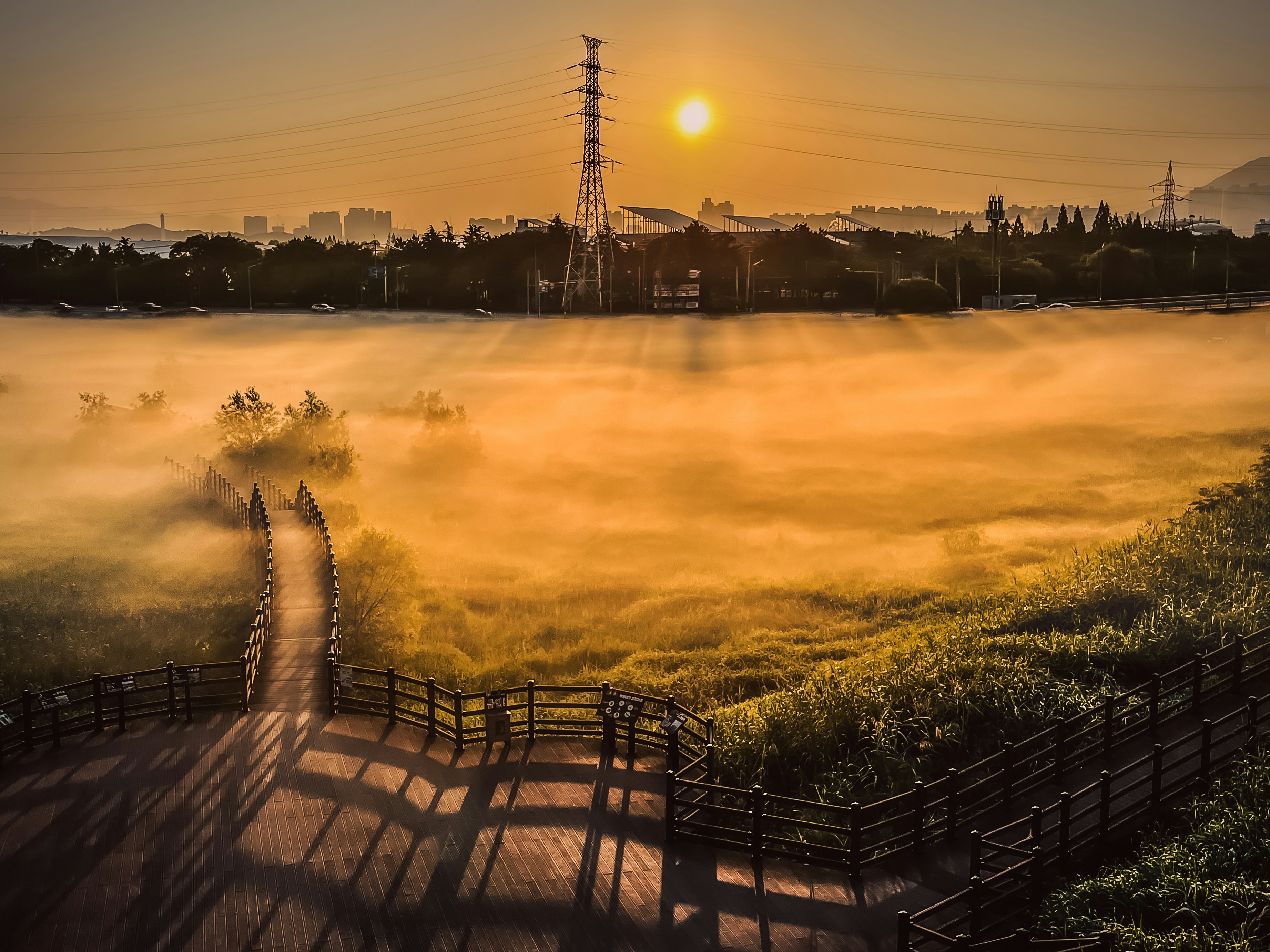 a foggy field with a wooden walkway leading to a power line