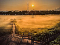 Best Sights in Daegu Away From the Tourist Traps