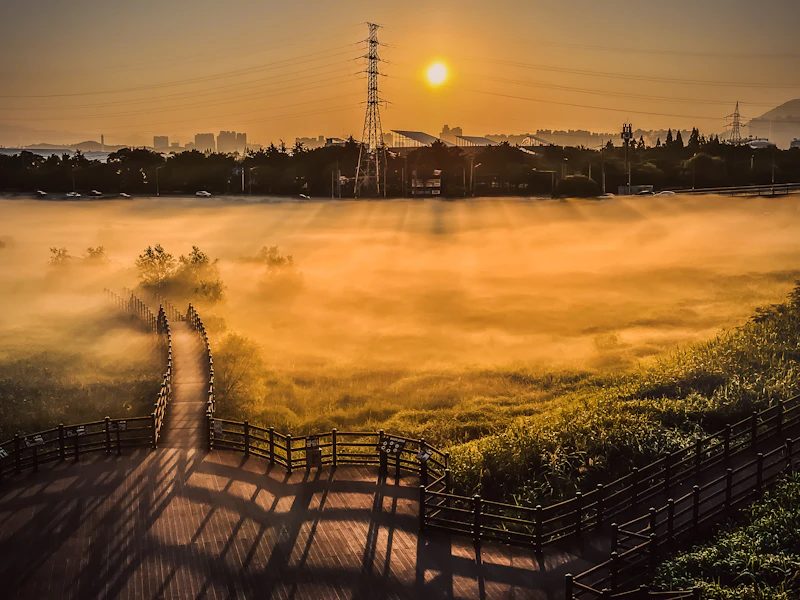 Best Sights in Daegu Away From the Tourist Traps
