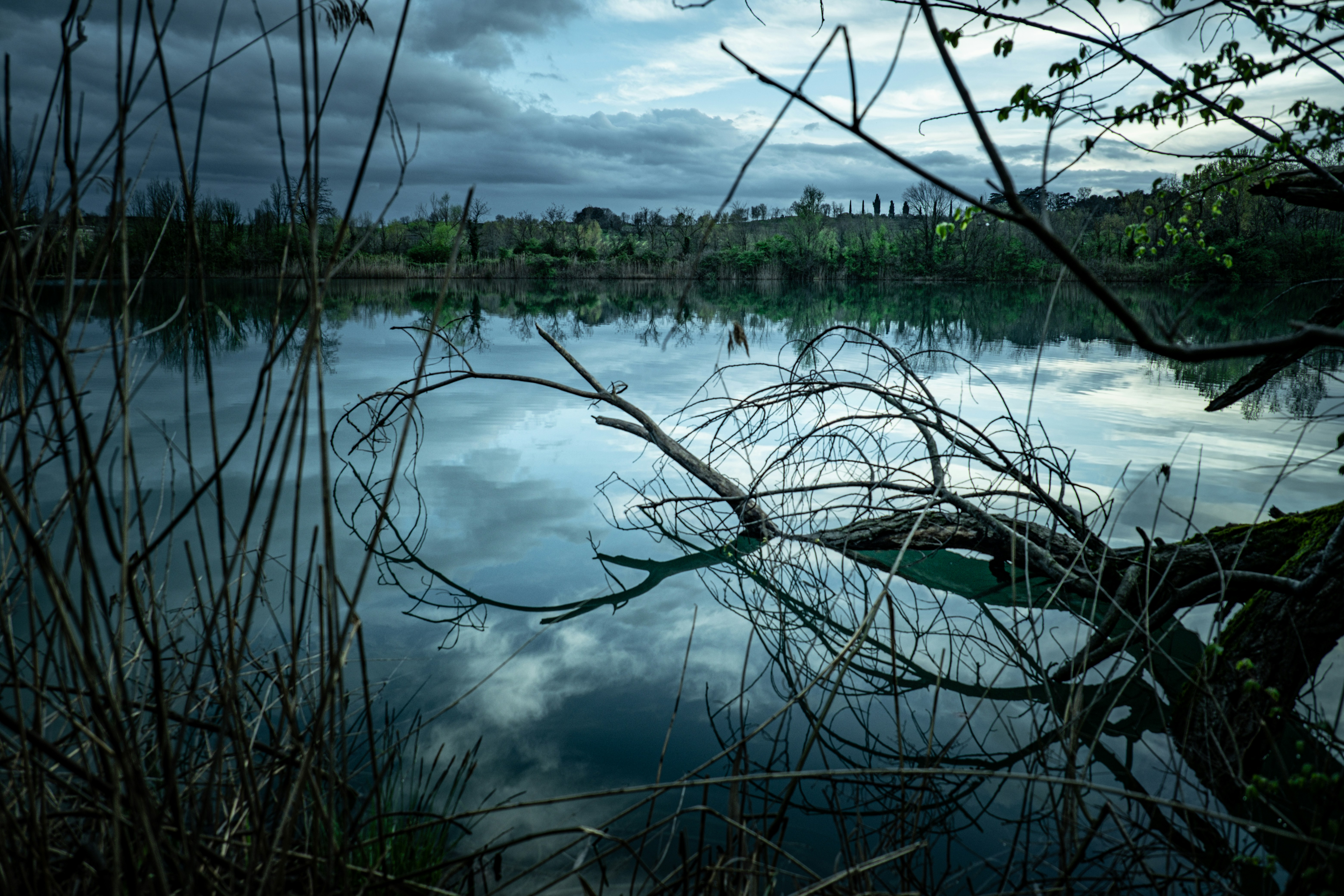 Photo by francesco_ungaro