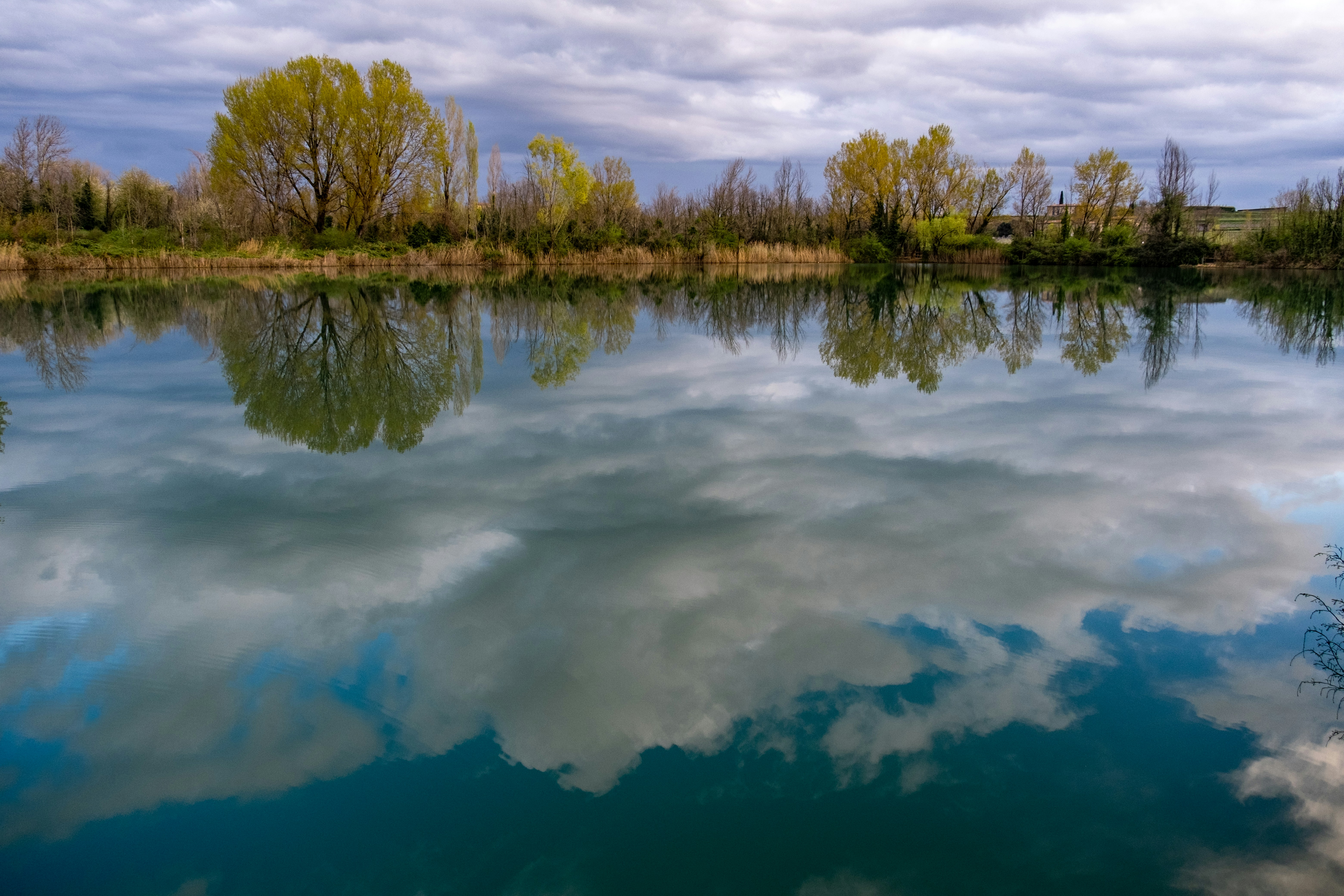 Photo by francesco_ungaro