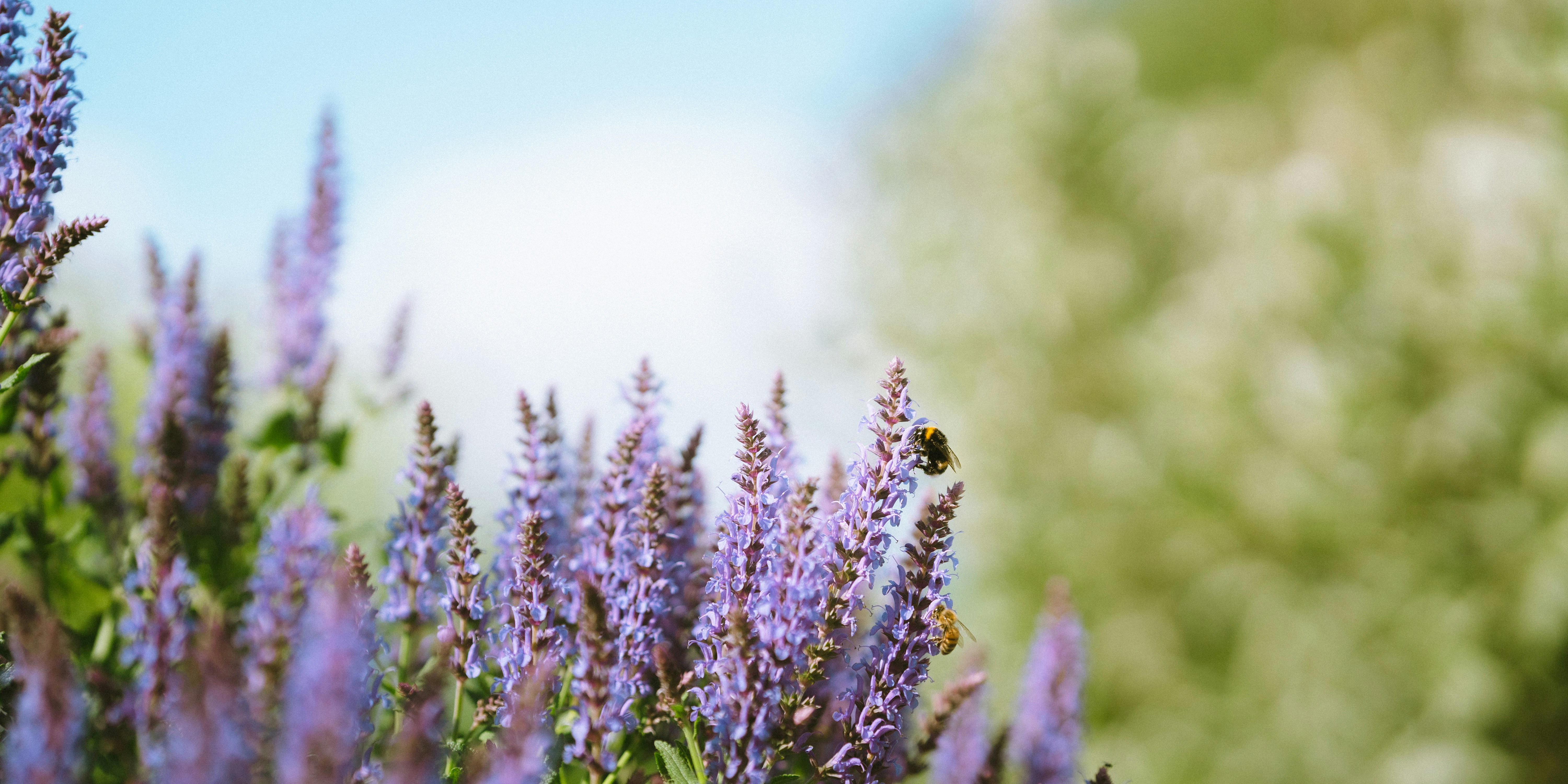 Photo by just_anotha_photographer