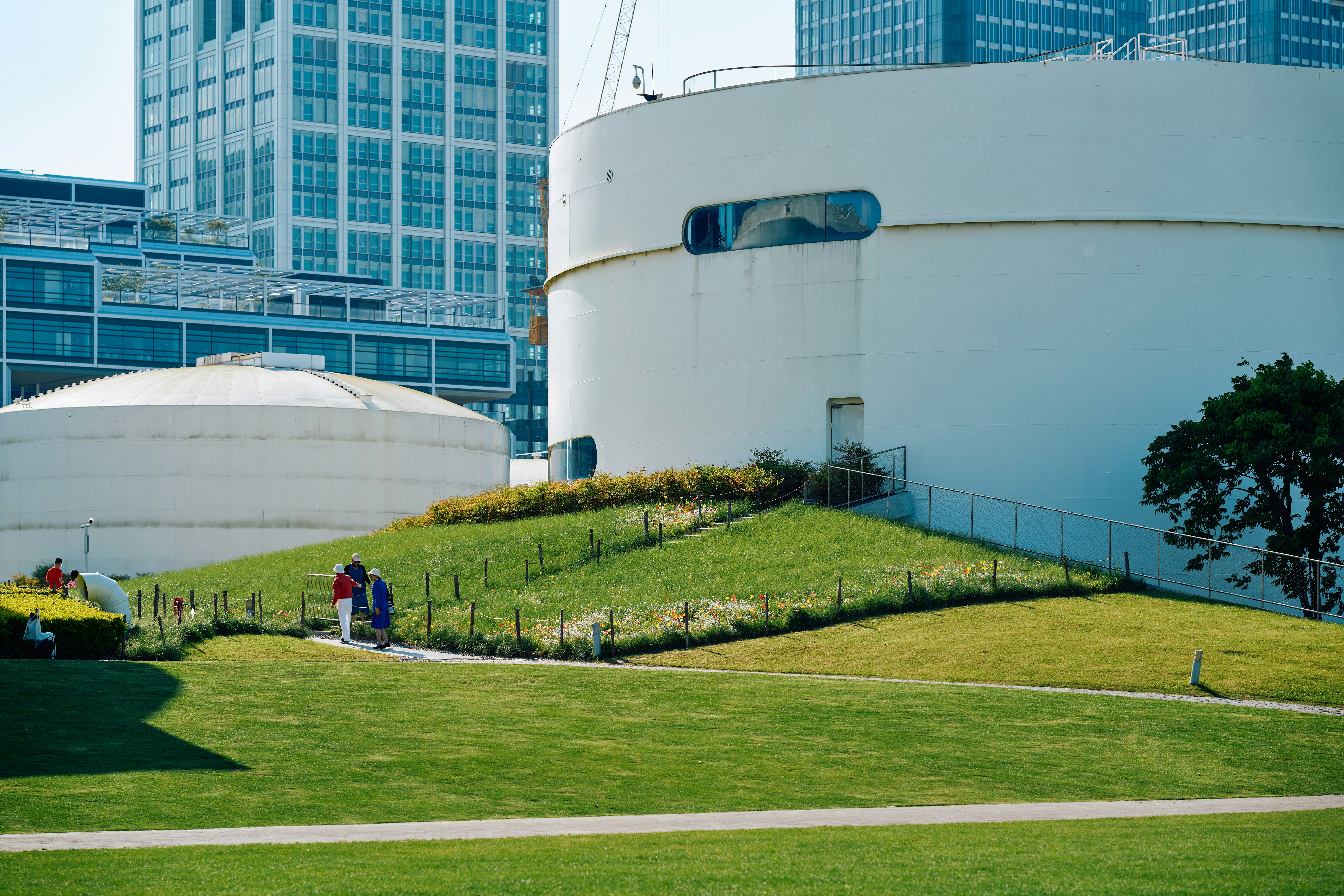 a couple of people standing on top of a lush green field