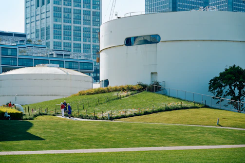 a couple of people standing on top of a lush green field