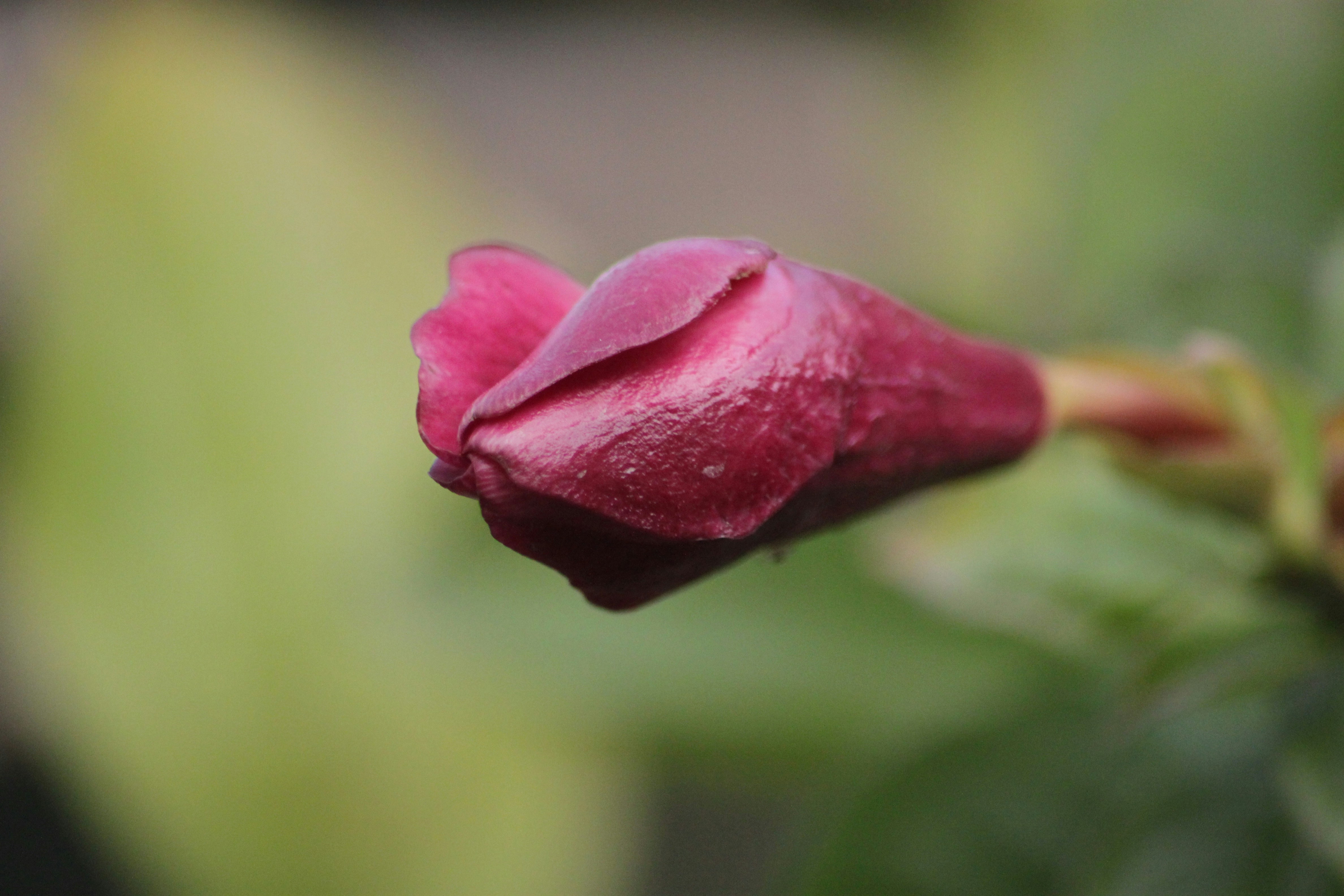 Photo by rahul_saraf