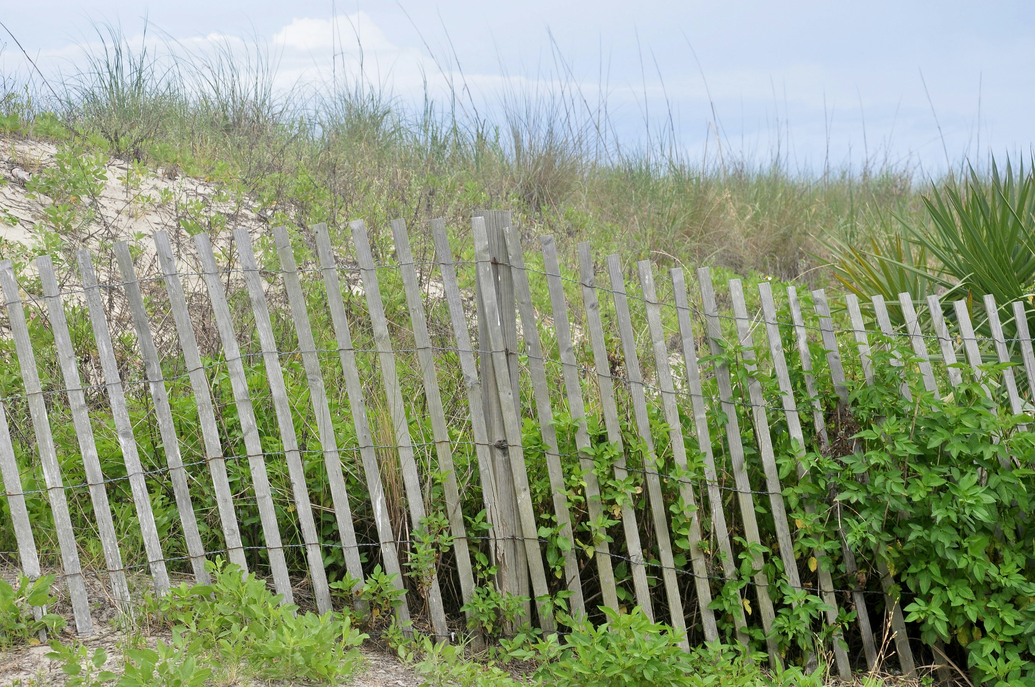 Photo by cameramandan83