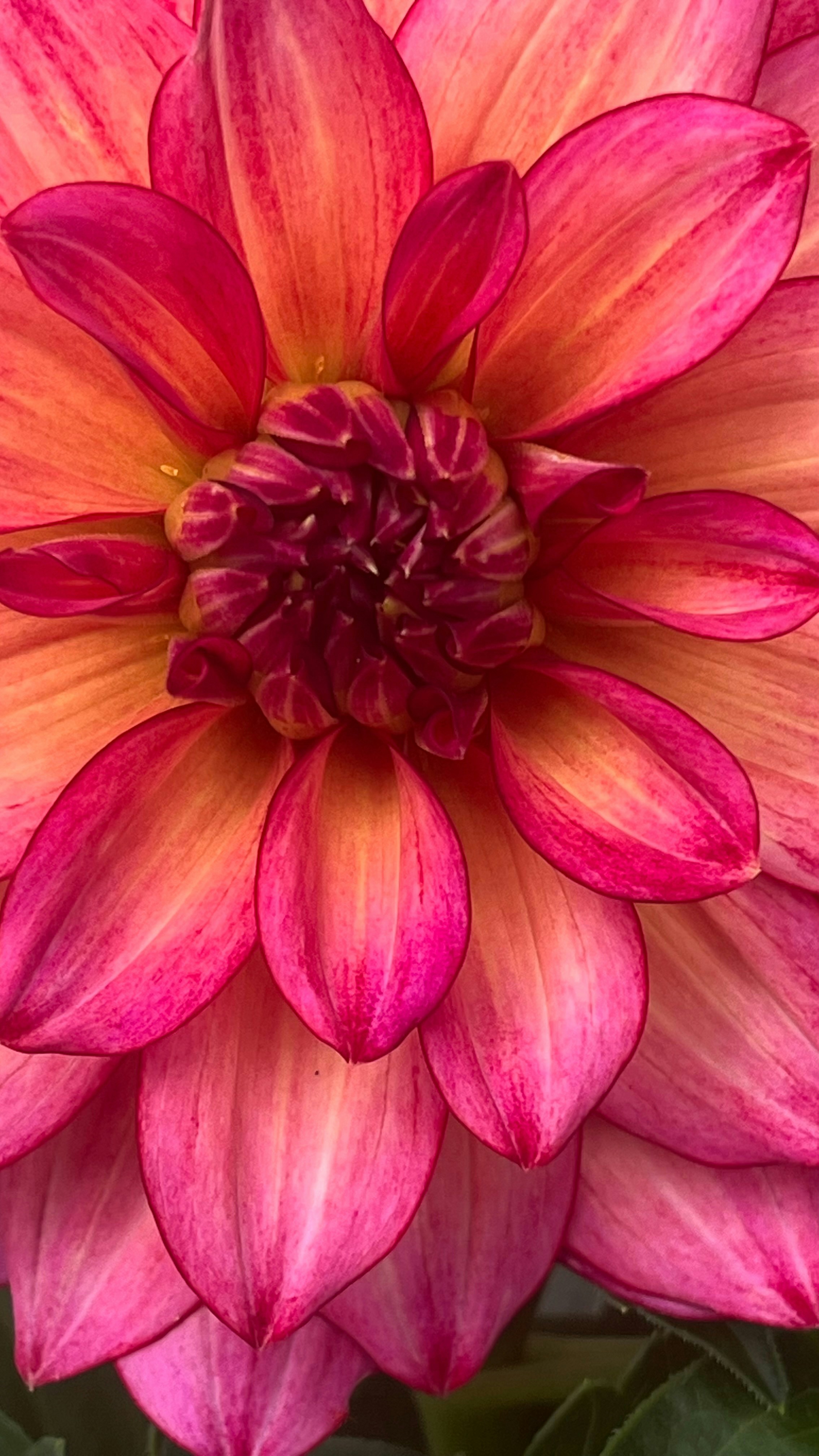 Photo by lisa_duqlaw