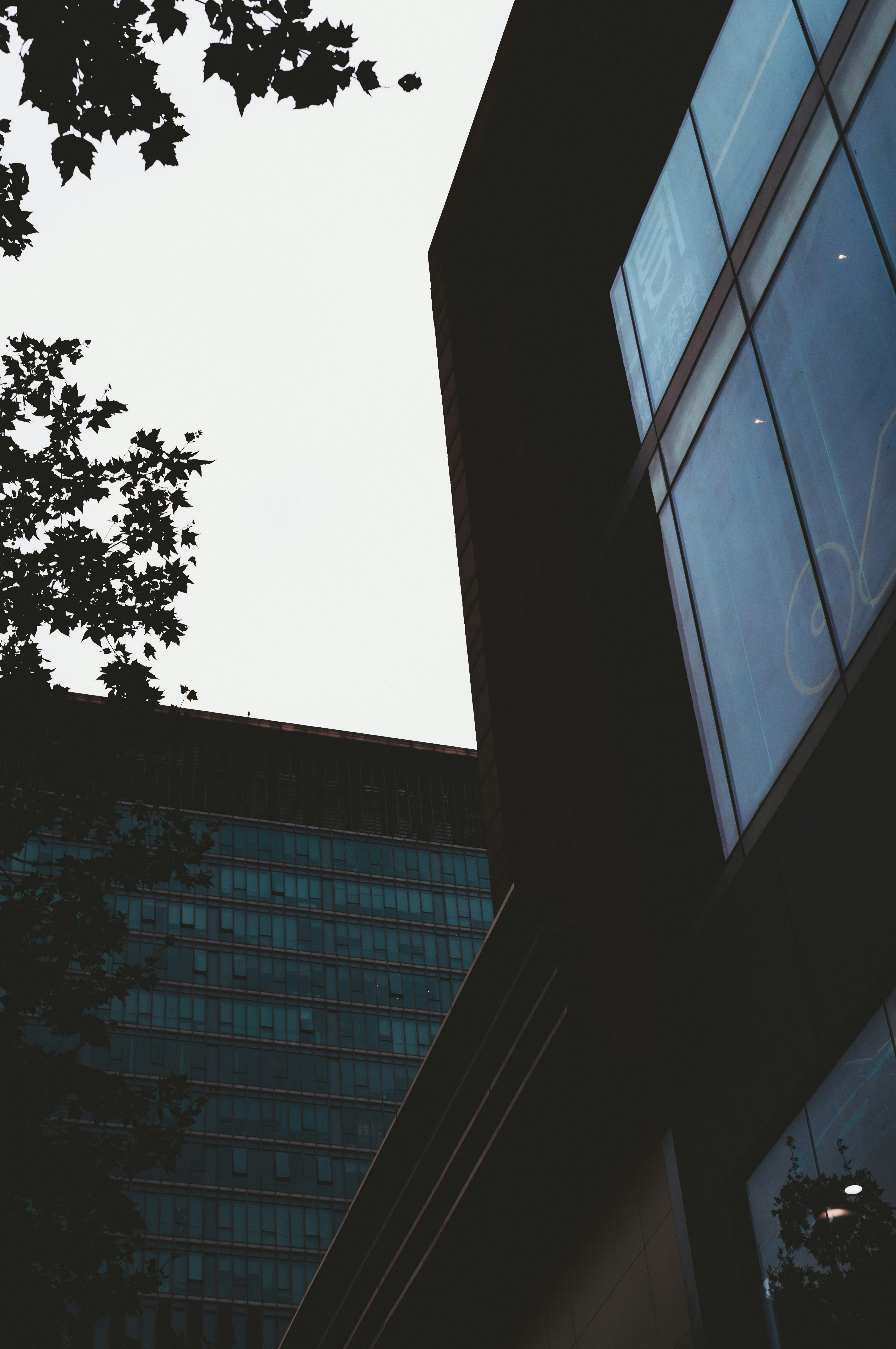 Photo by xingchenyan