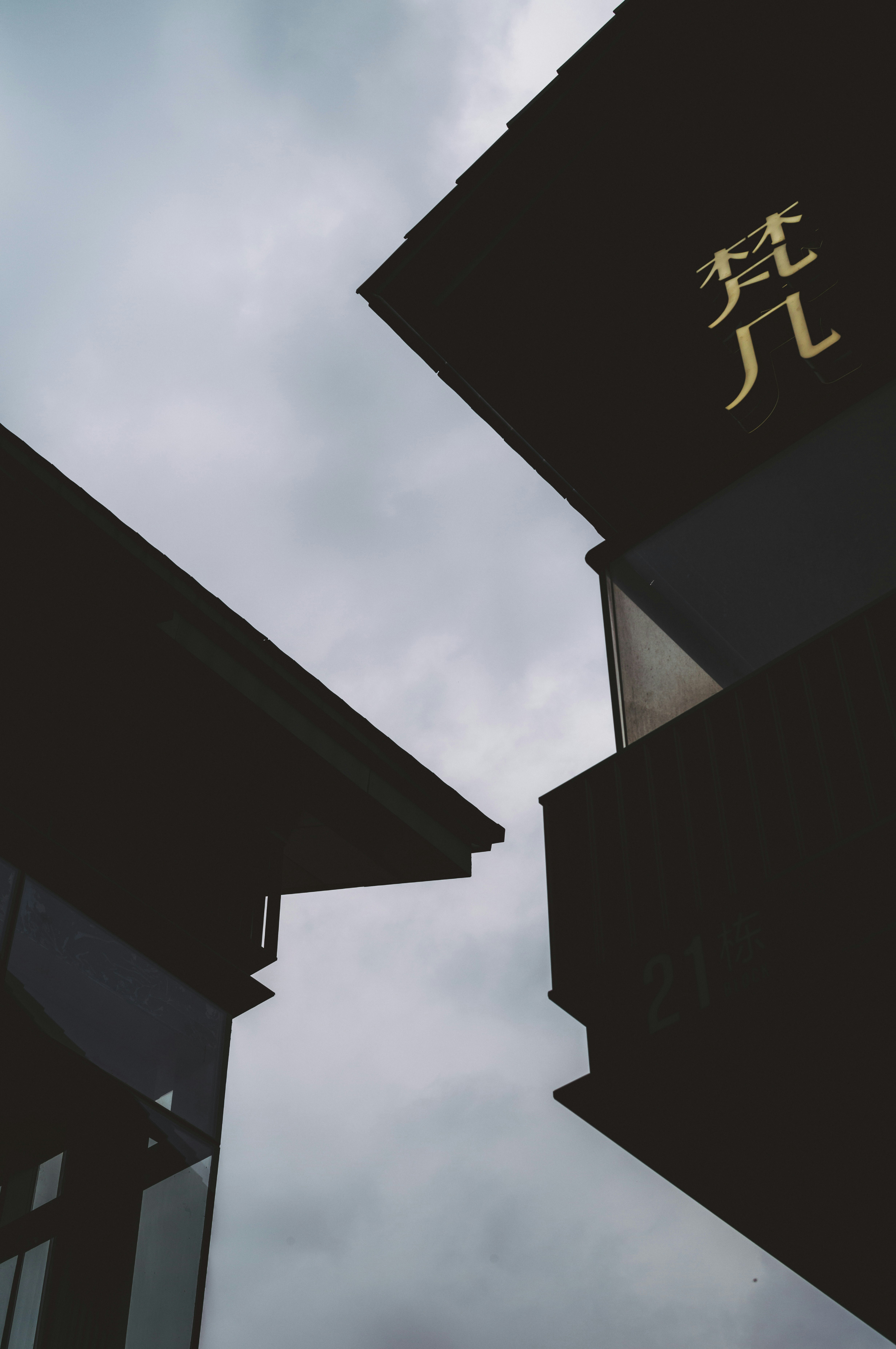 Photo by xingchenyan