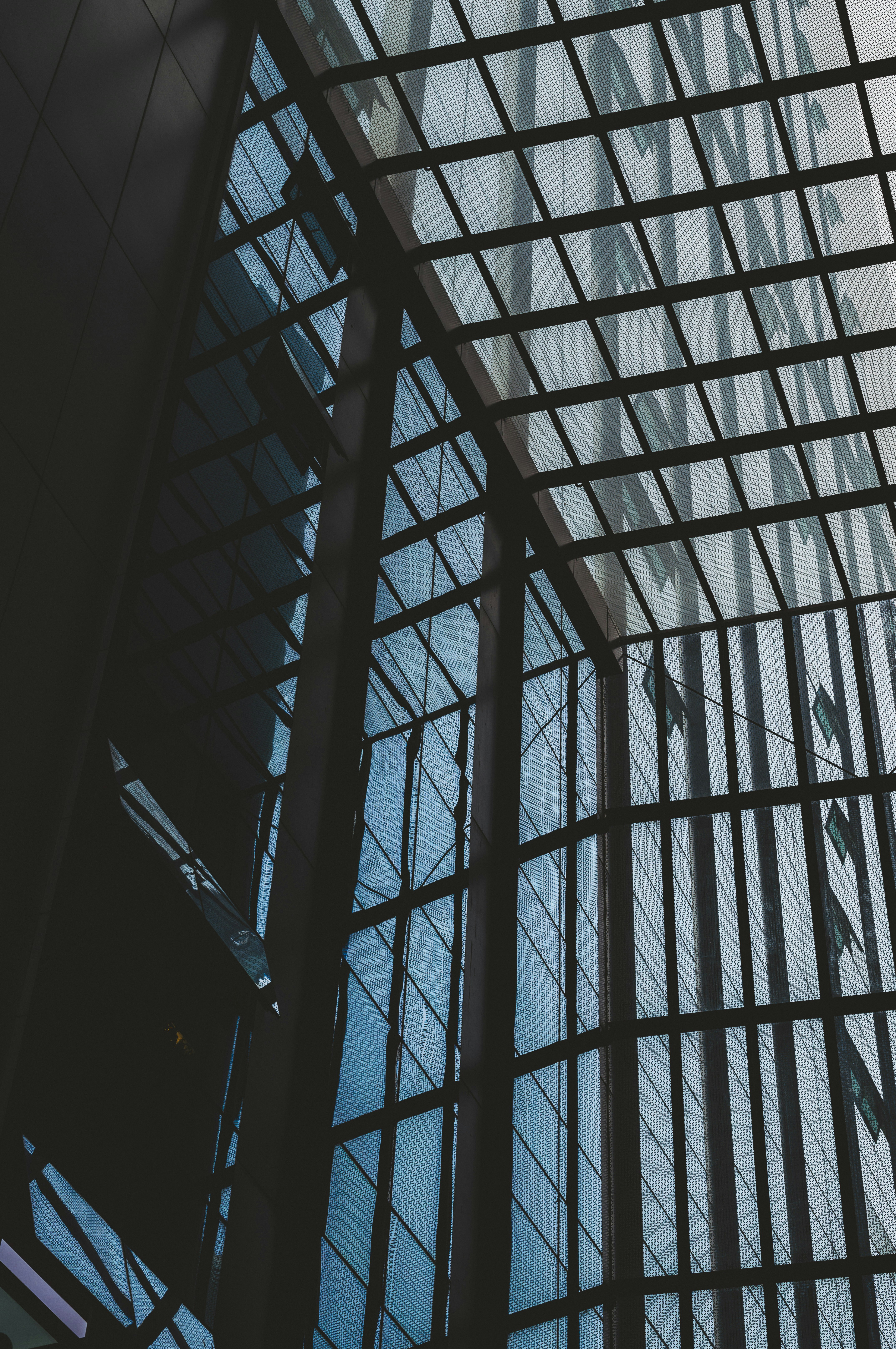 Photo by xingchenyan