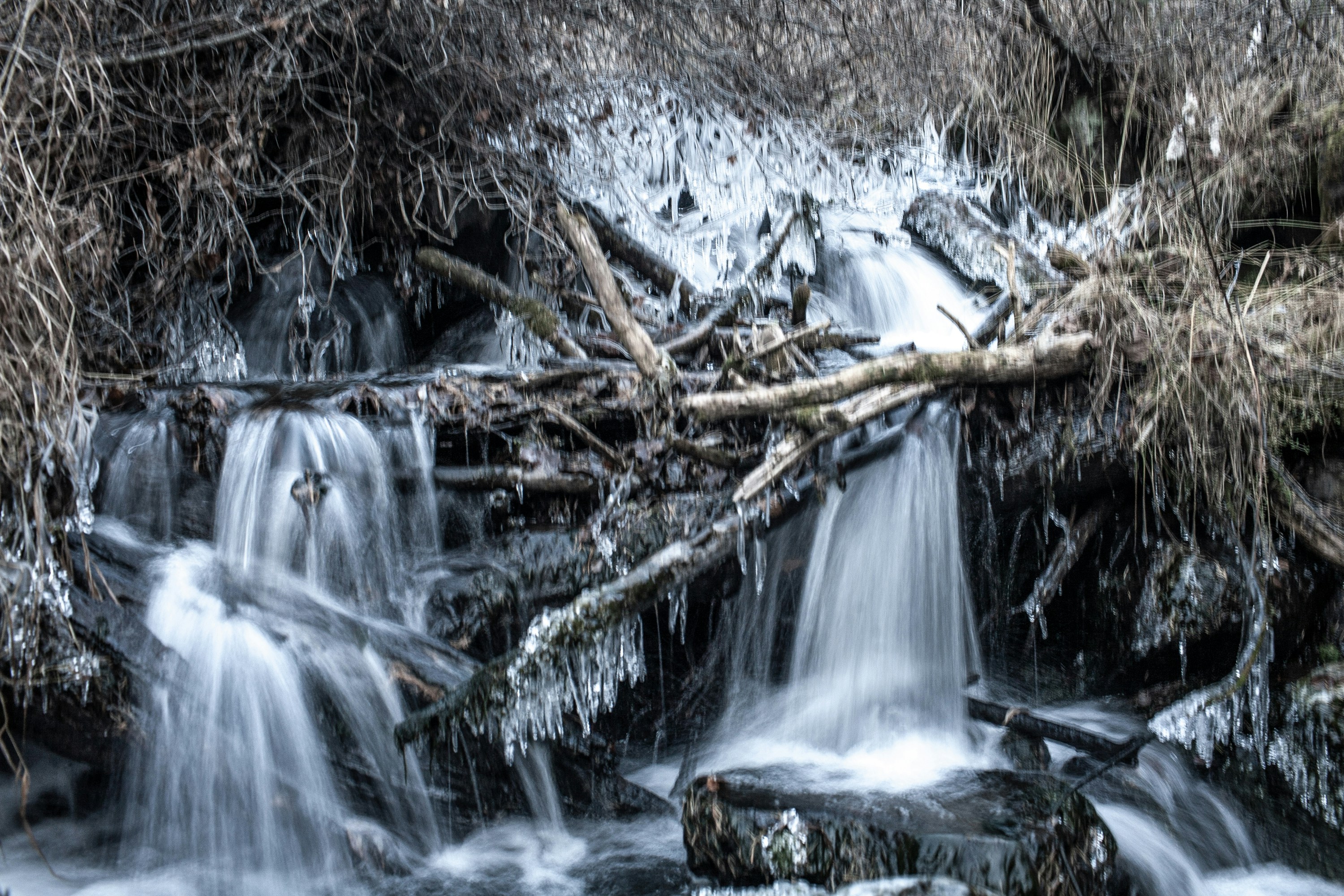 Photo by sergalexander