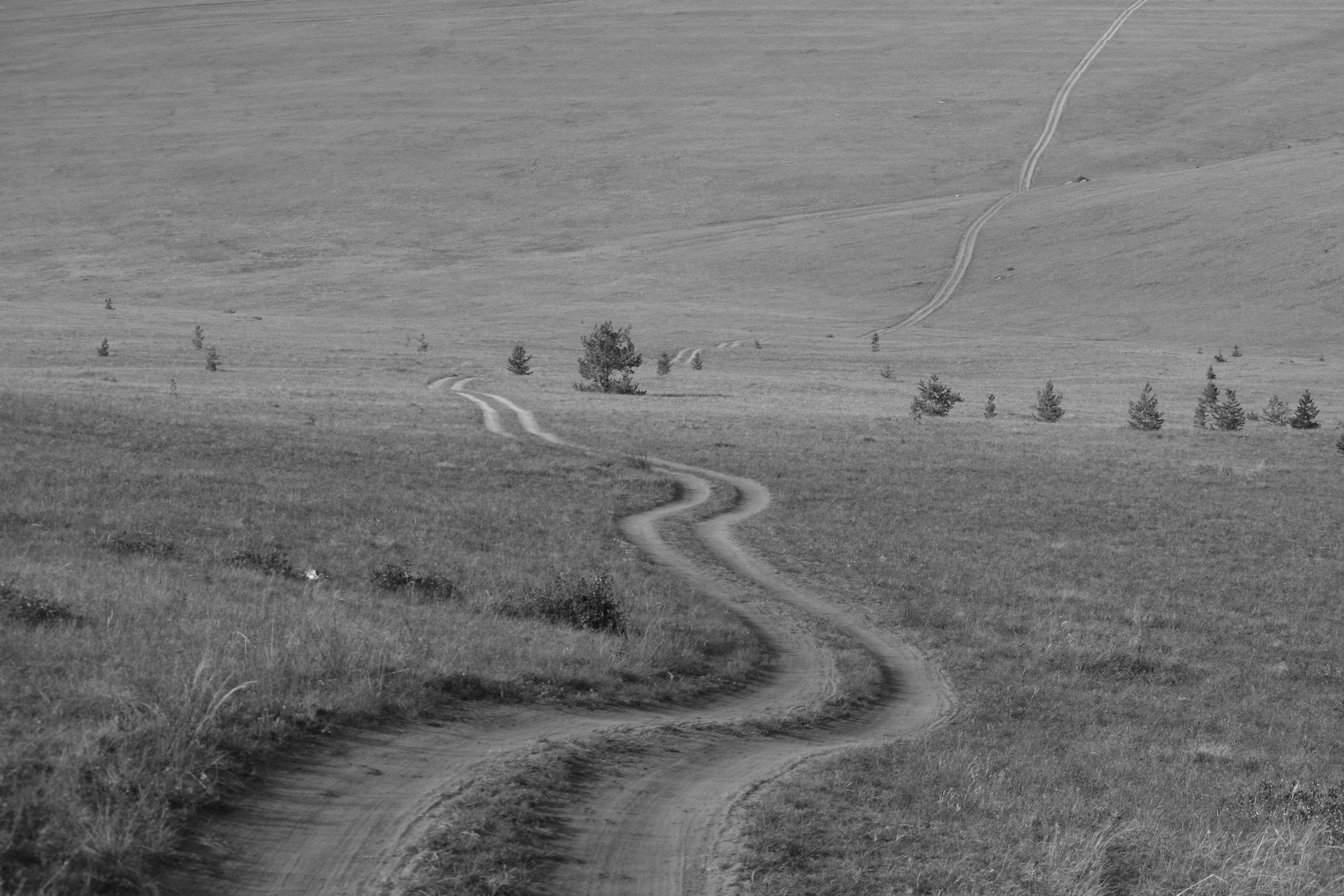 Photo by sergalexander