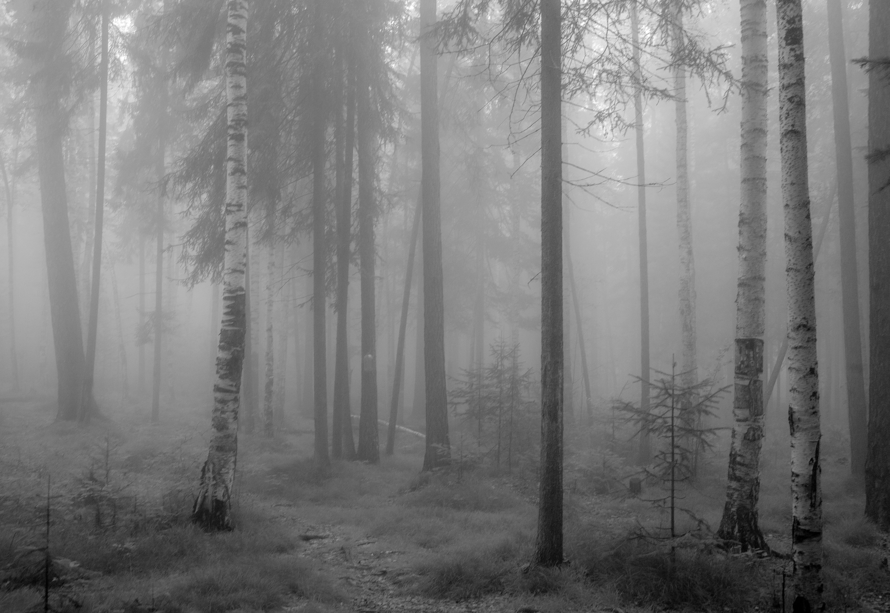 Photo by sergalexander