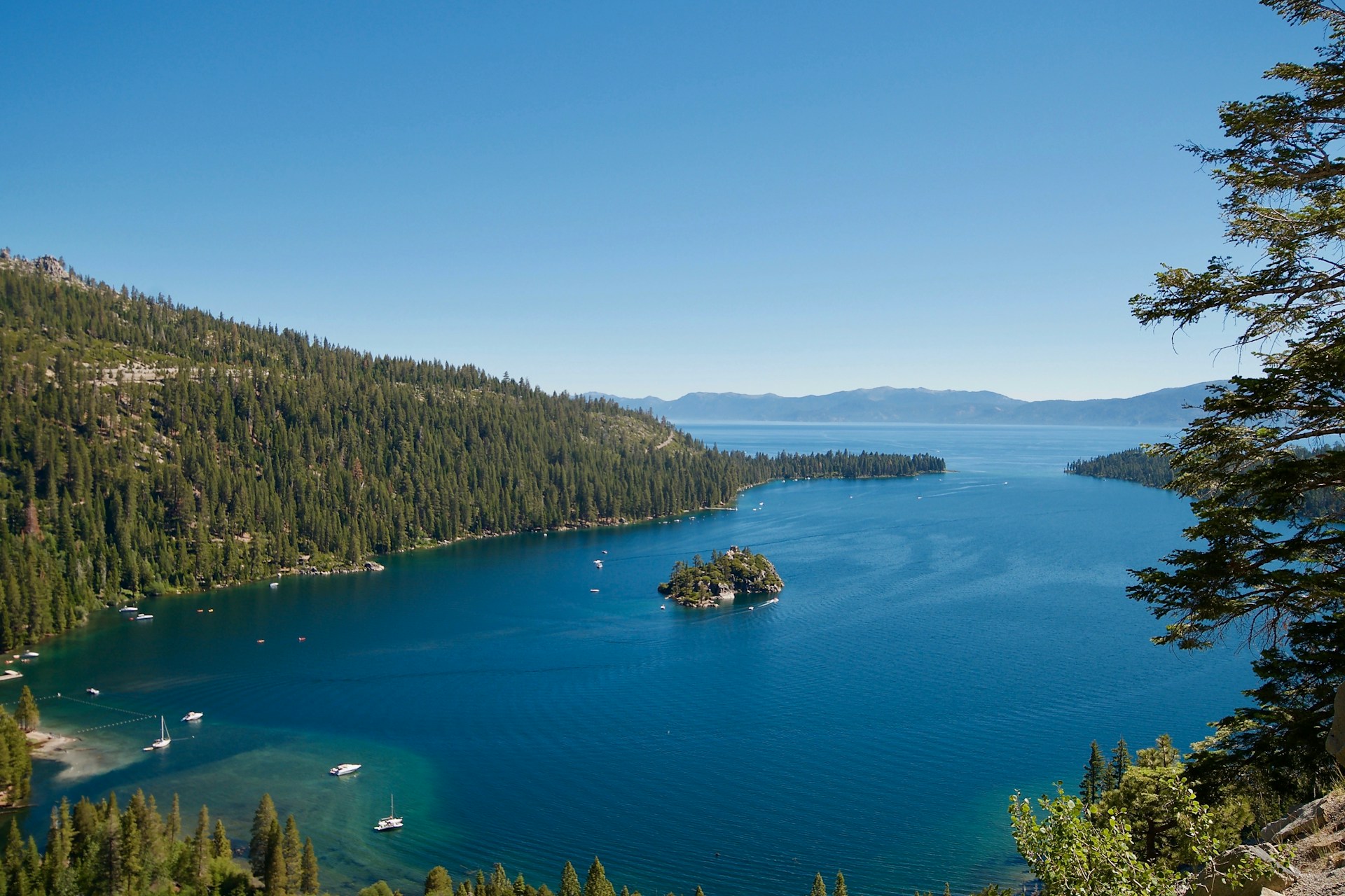 a large body of water surrounded by trees