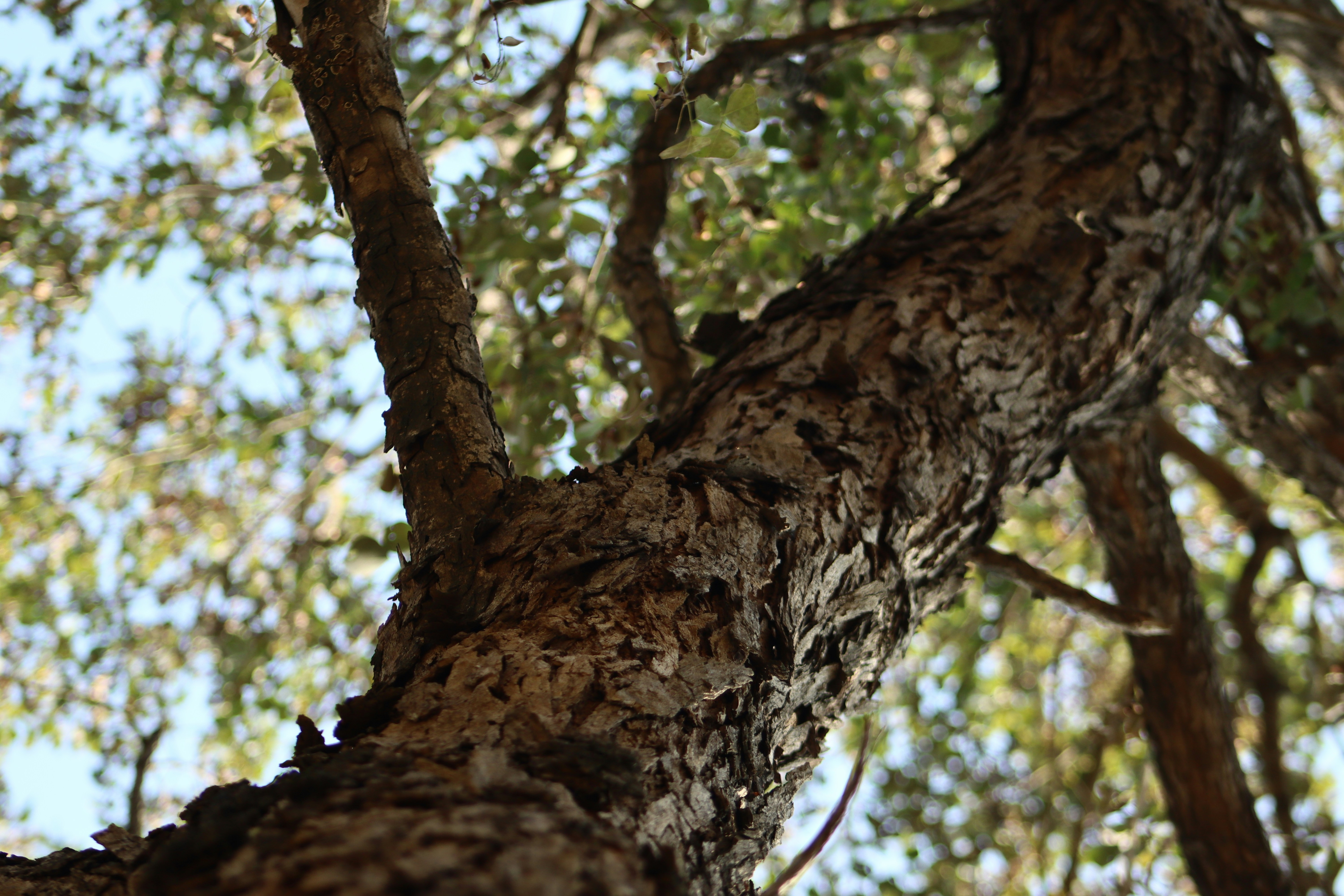 Photo by alihamzatullah