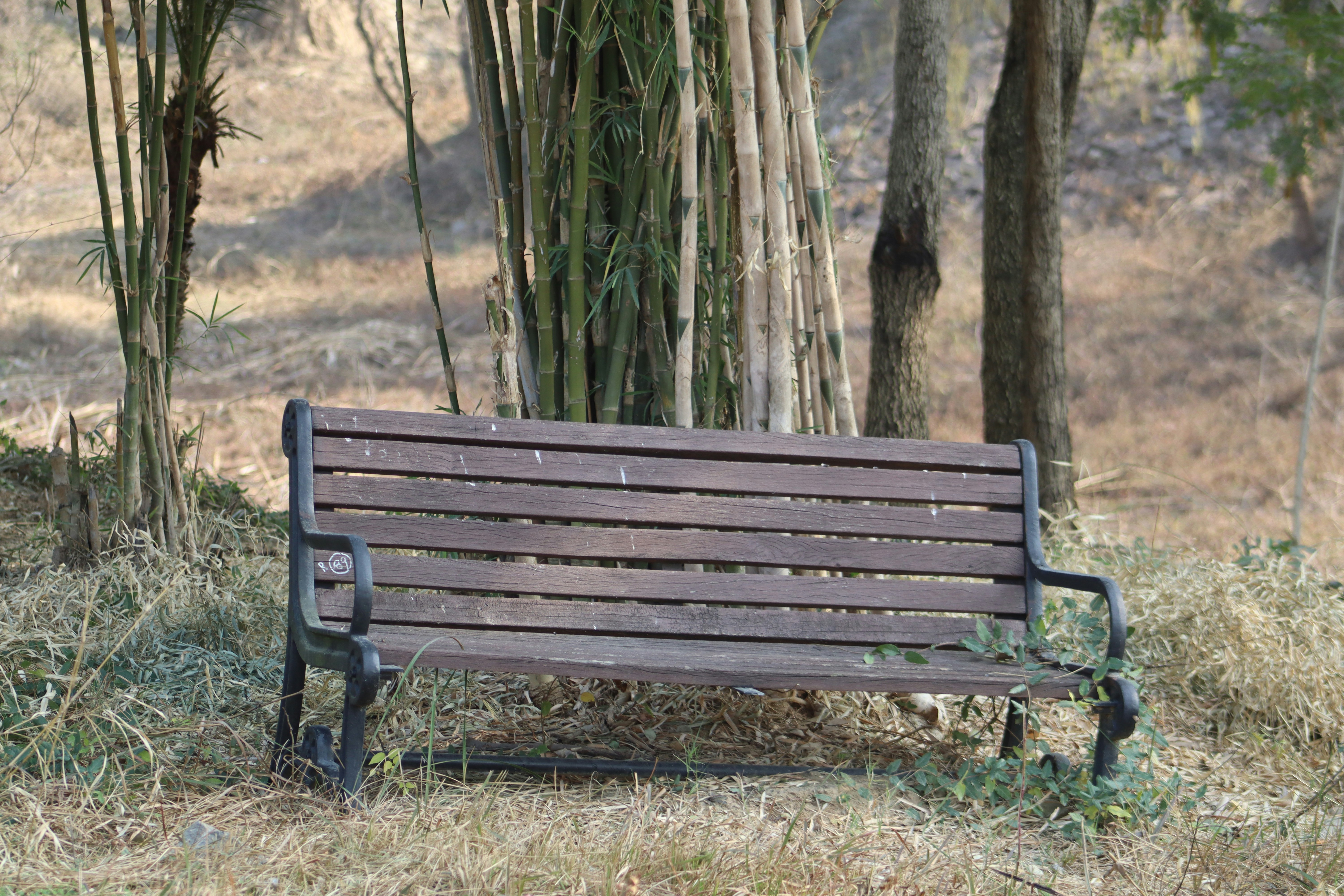 Photo by alihamzatullah