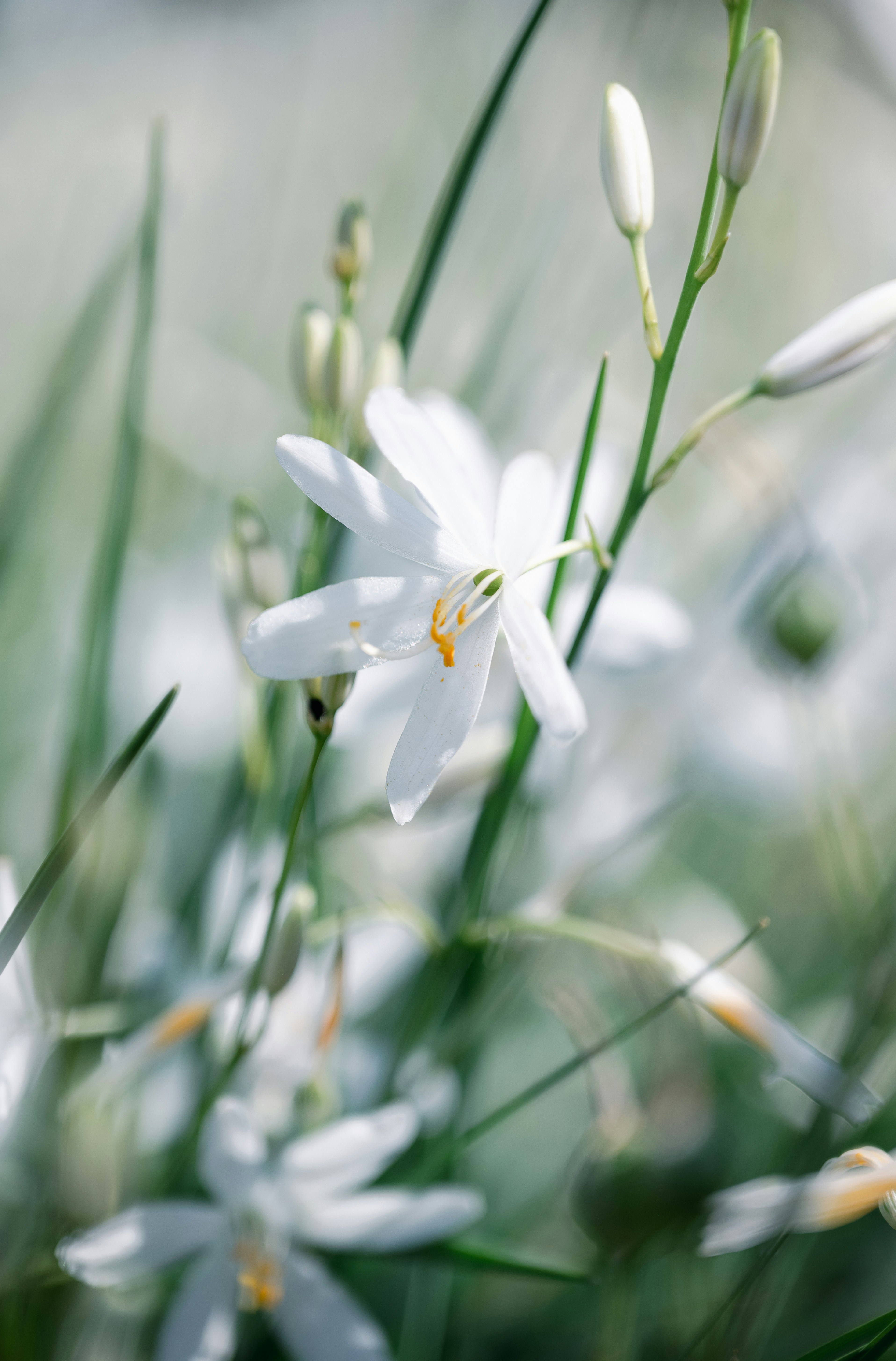 Photo by jetztabertempo