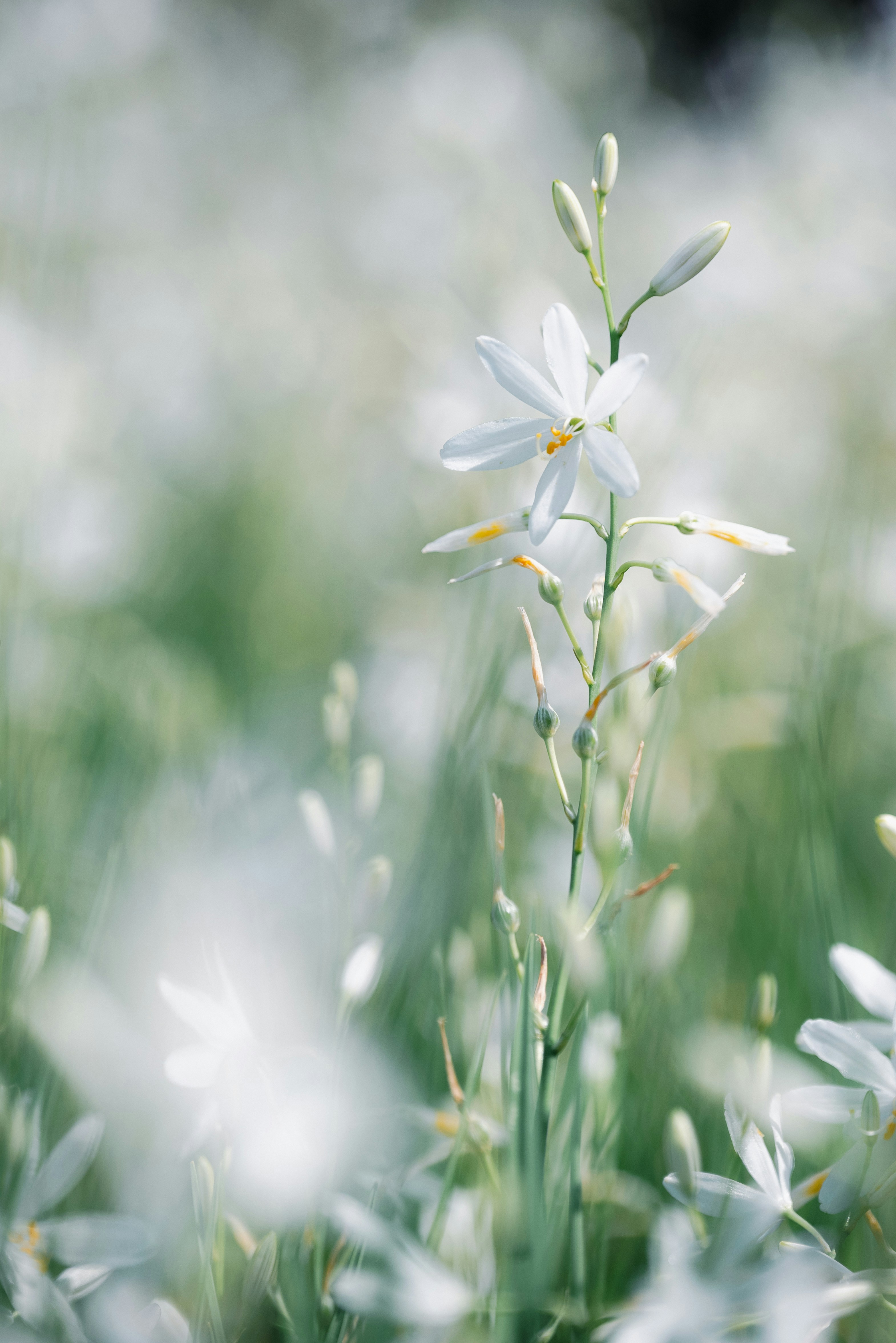 Photo by jetztabertempo