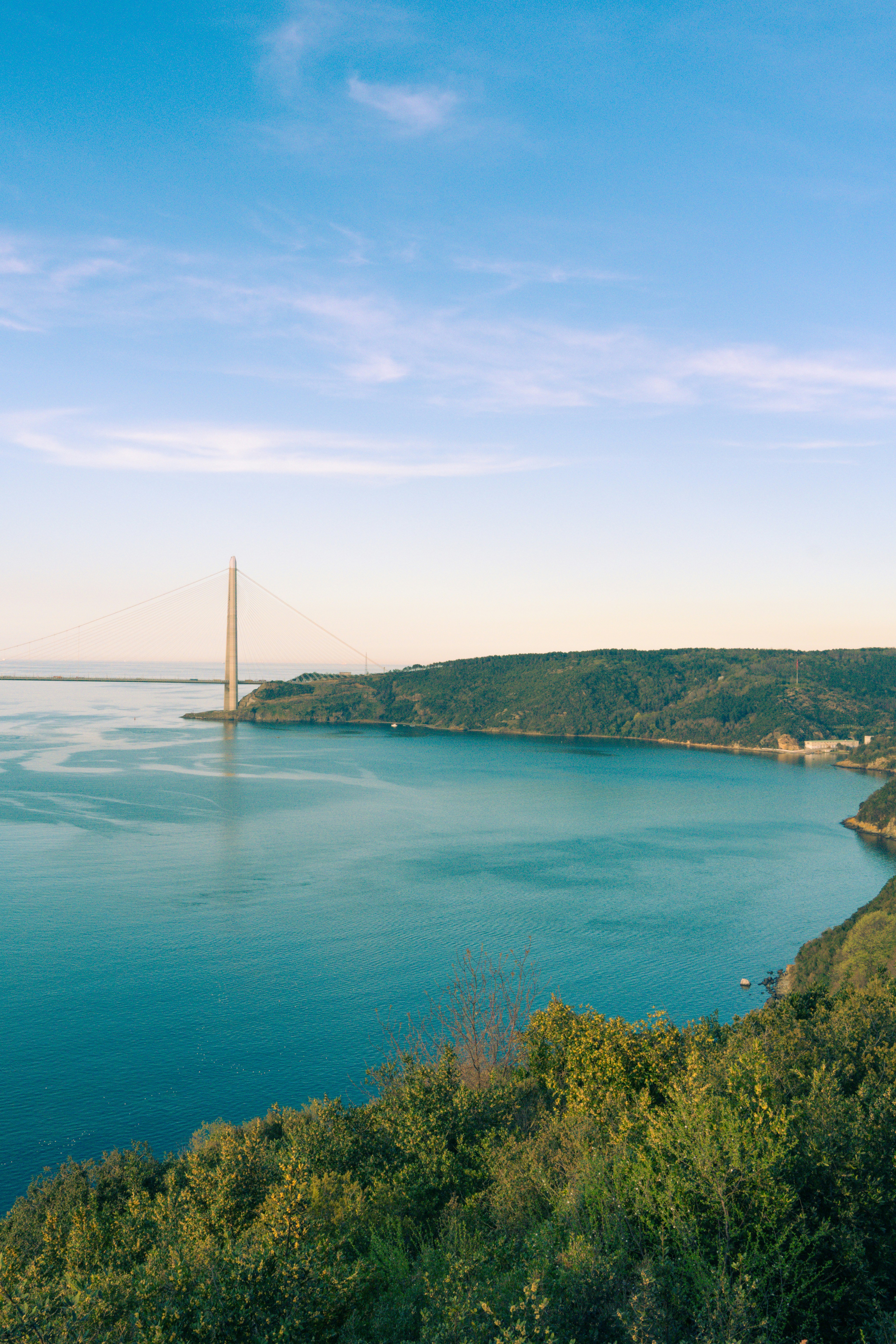 Photo by alirezamirzabegi