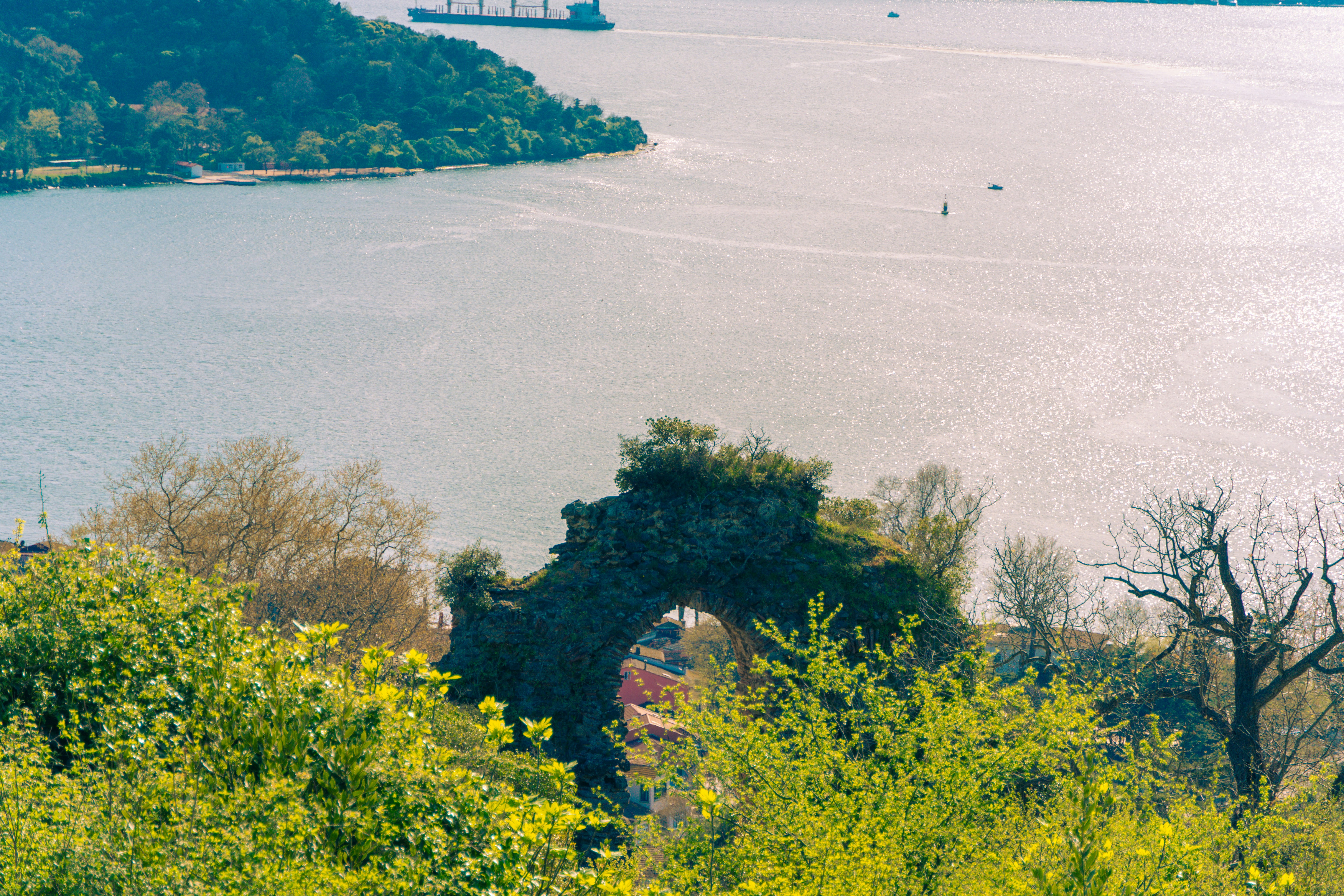 Photo by alirezamirzabegi