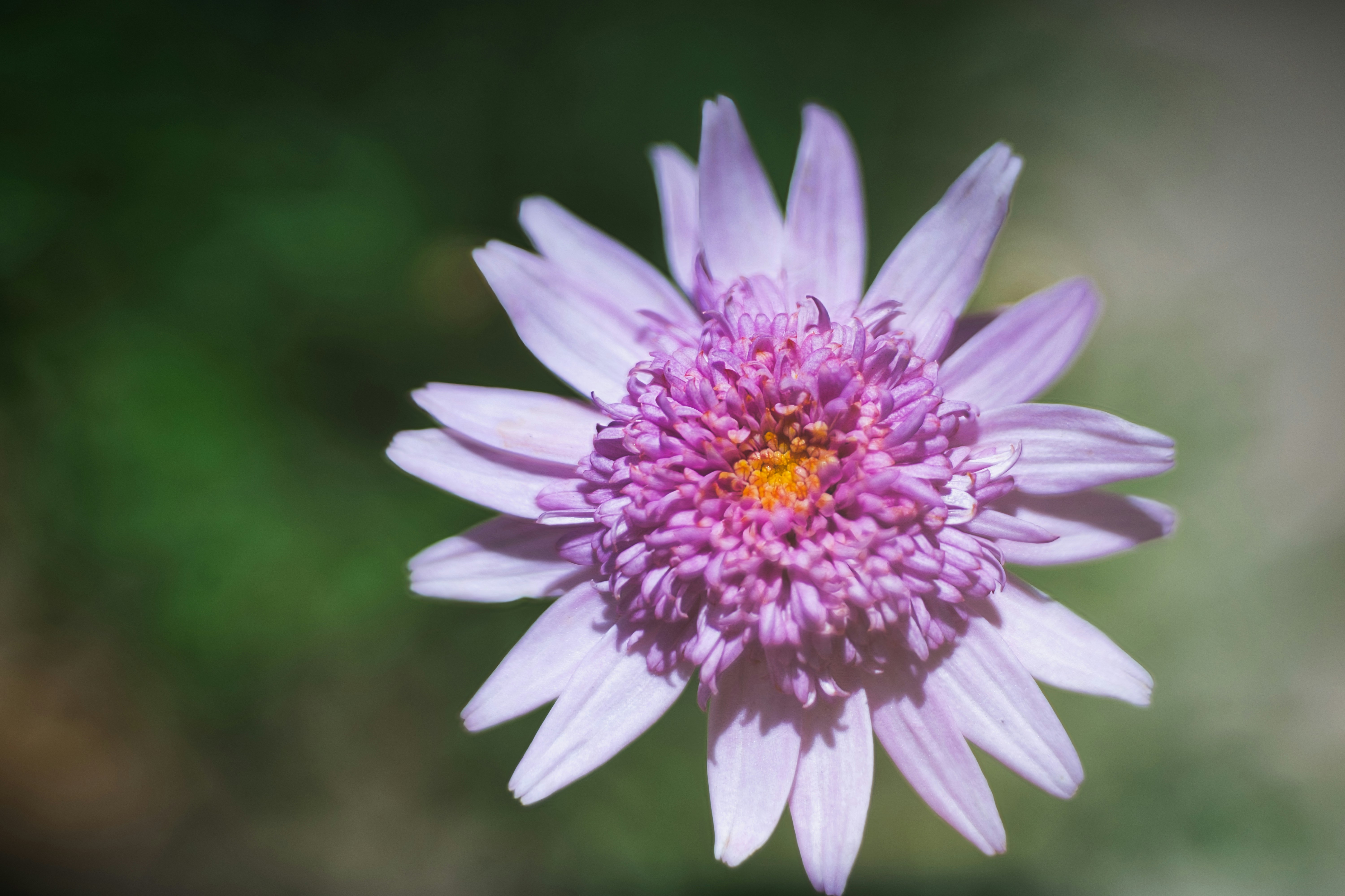 Delight in Traditional Cretan Cuisine