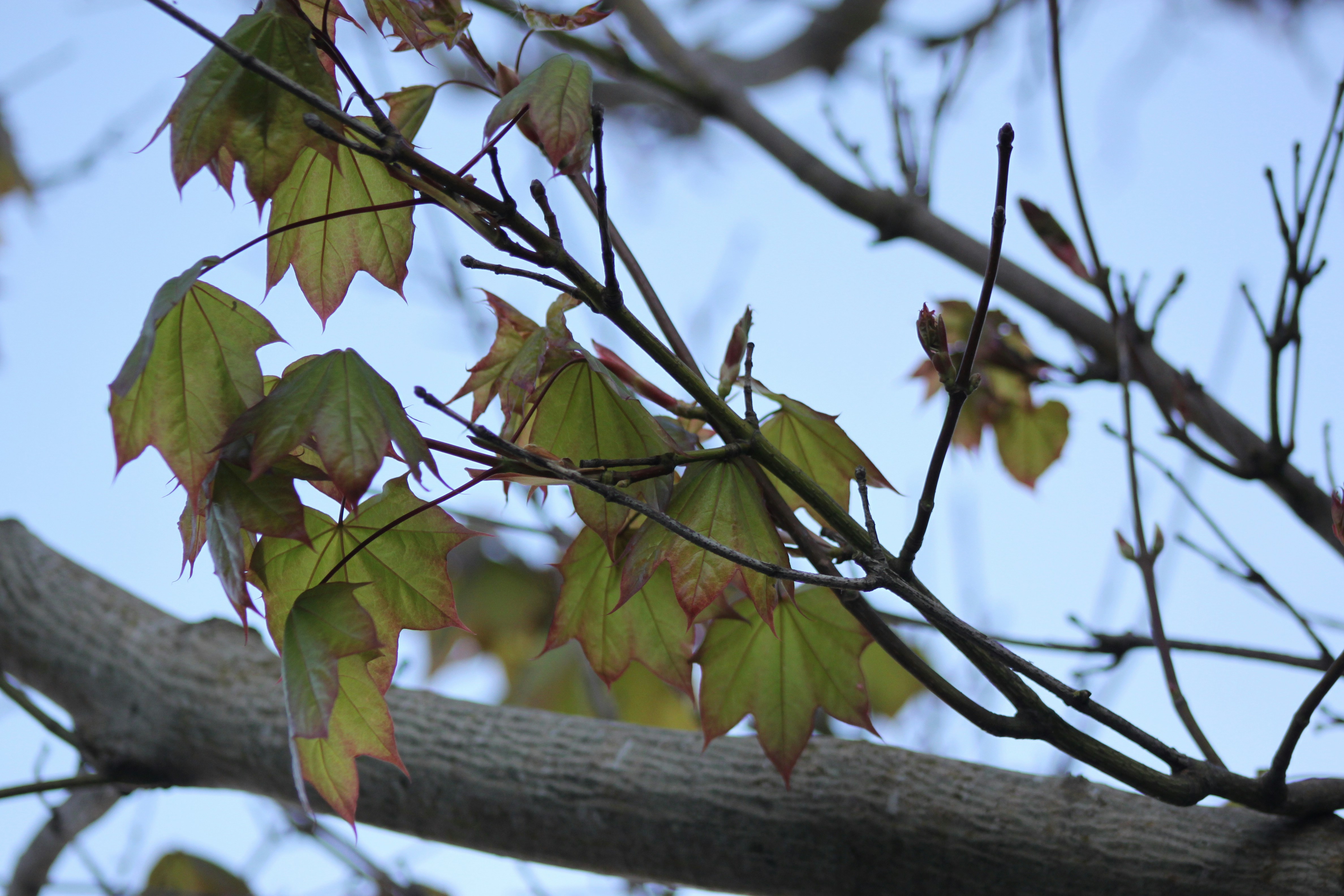 Photo by rubyphotography