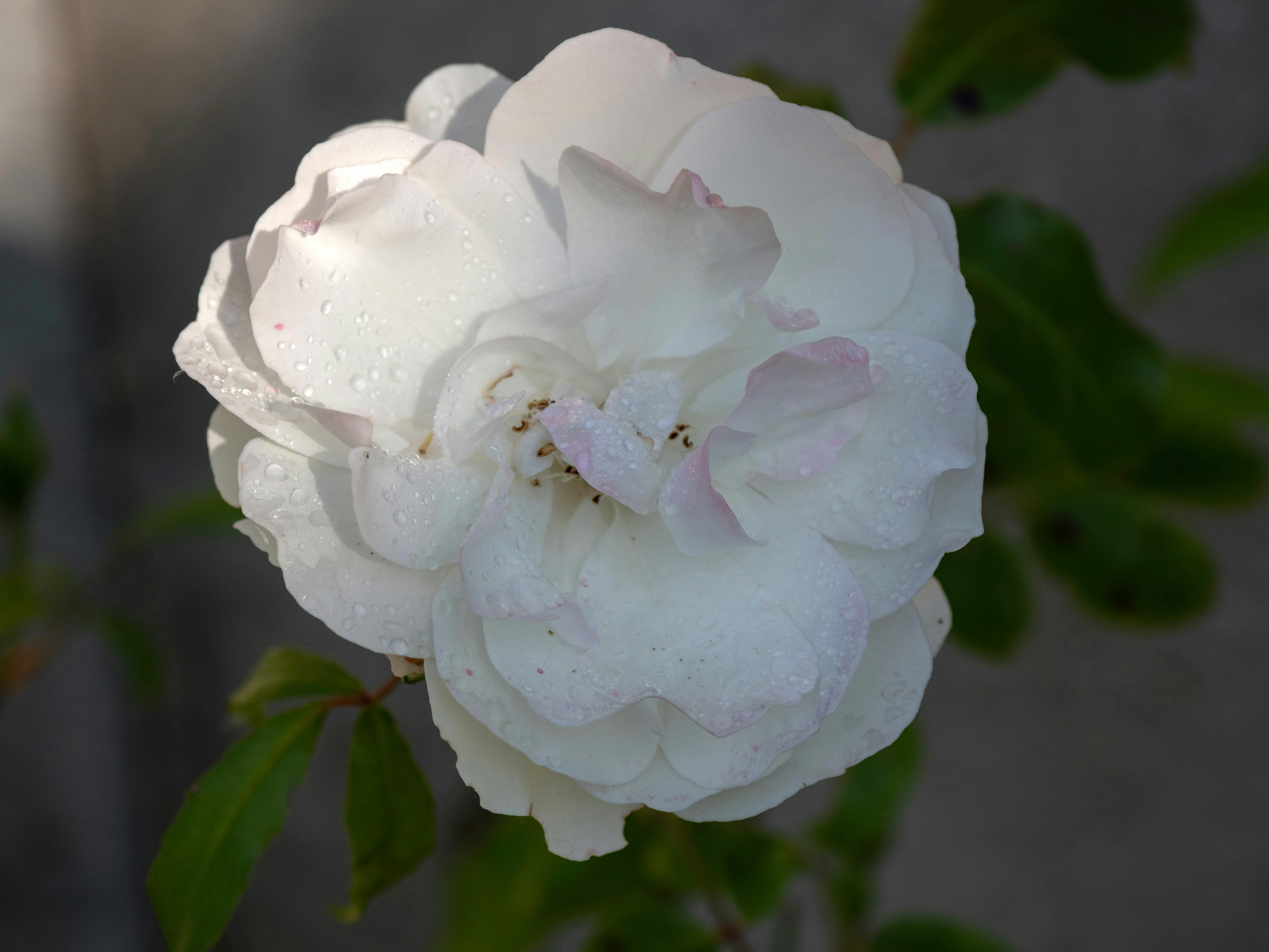 Photo by brett_jordan