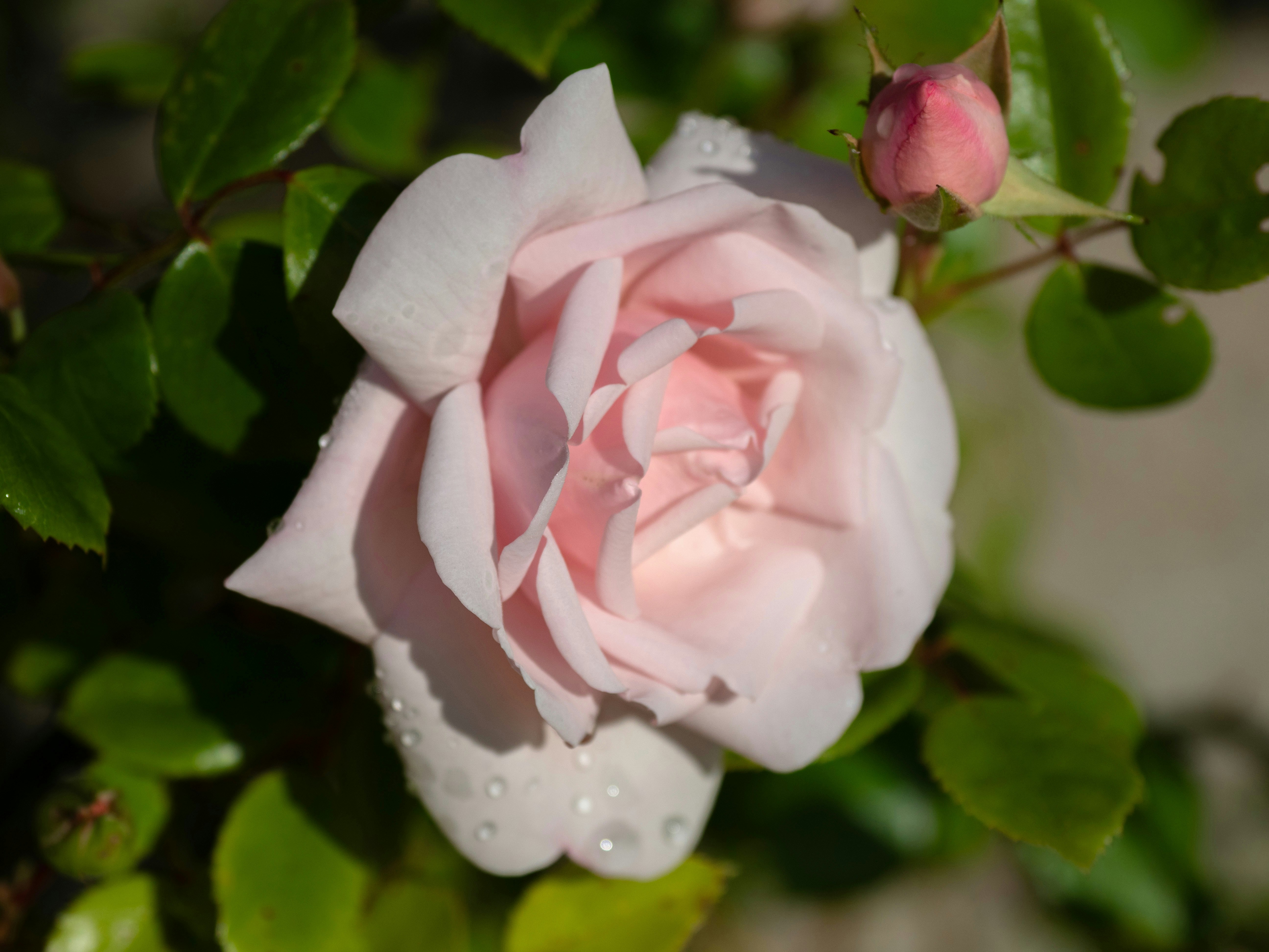 Photo by brett_jordan