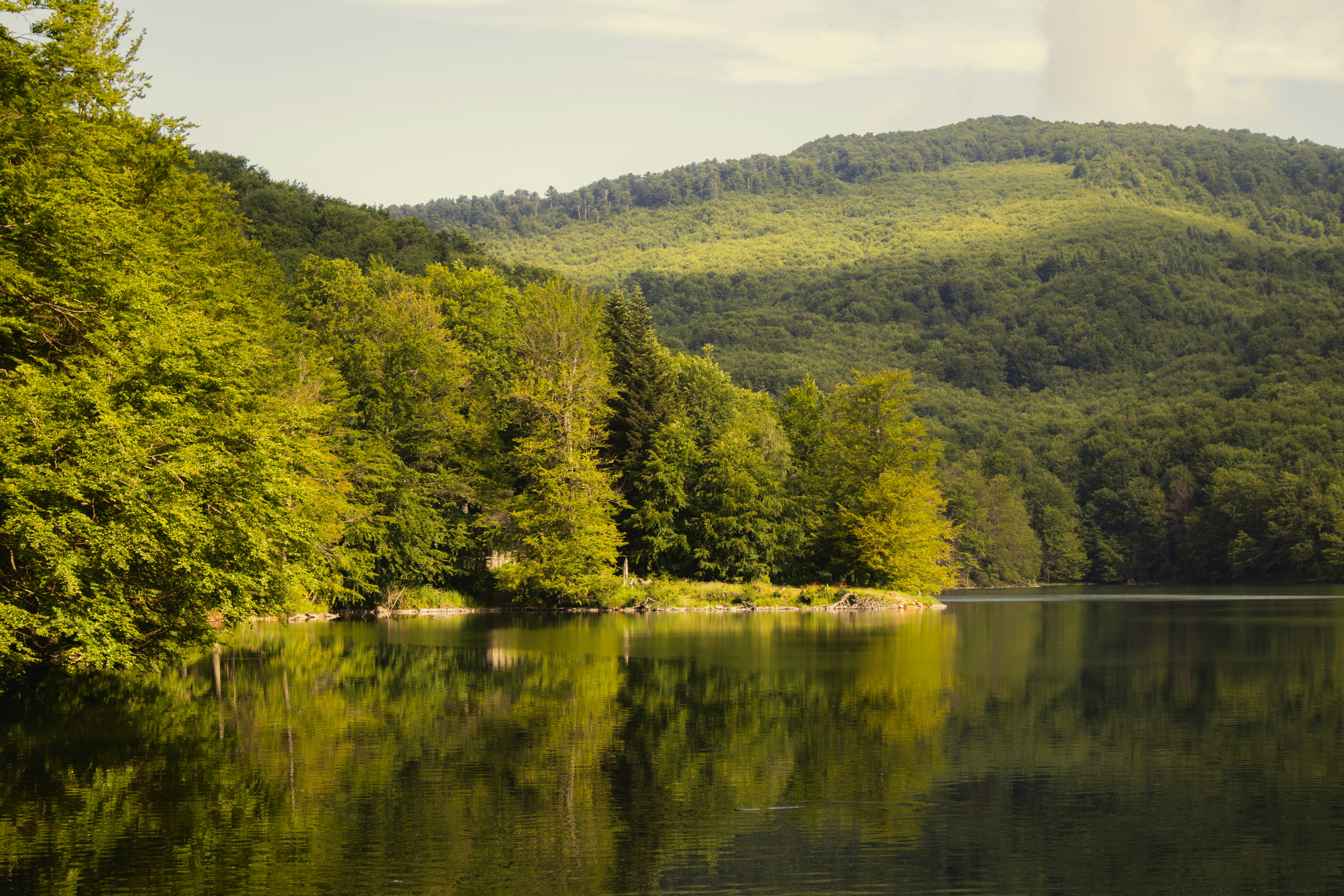 Photo by marko_lengyel