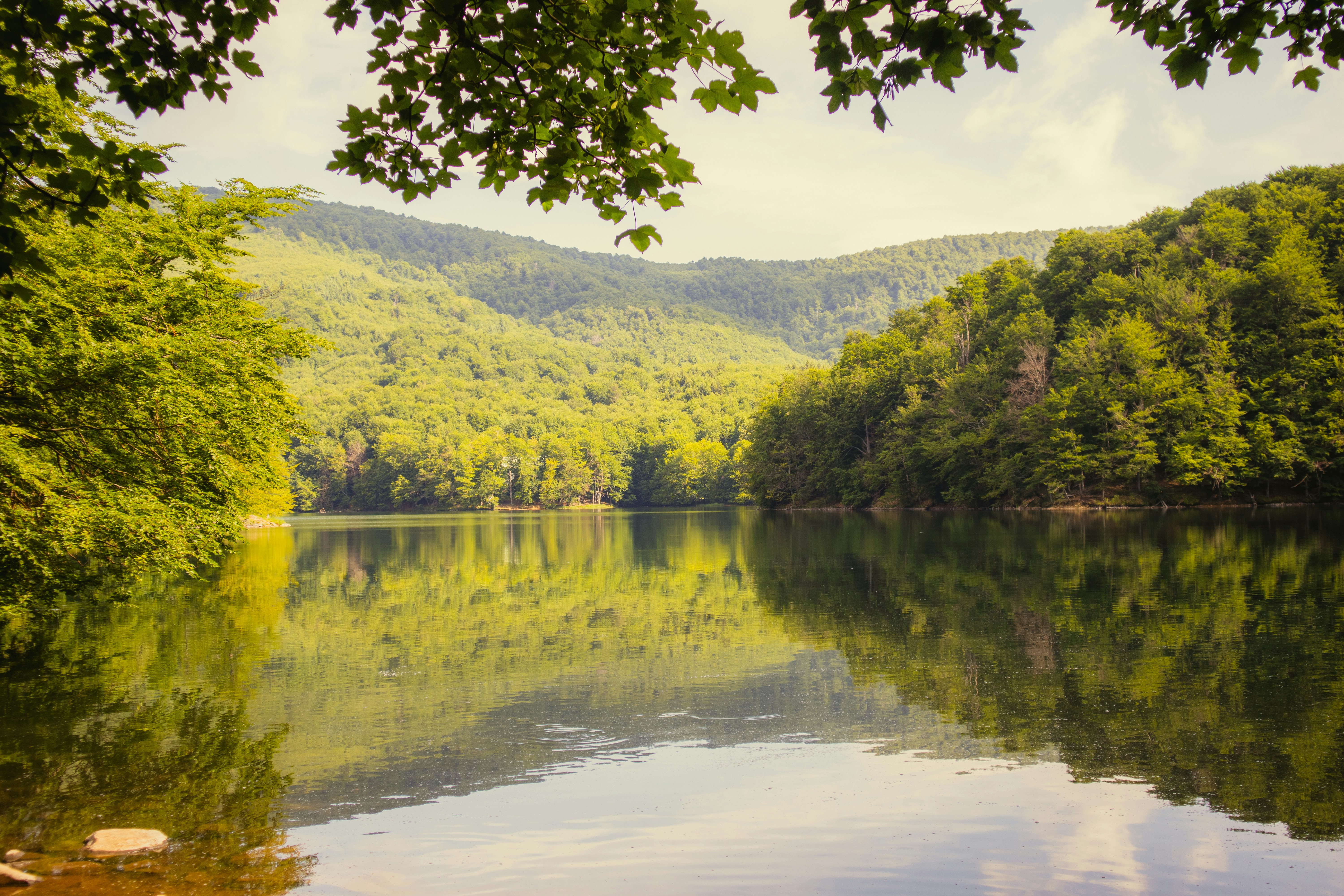 Photo by marko_lengyel