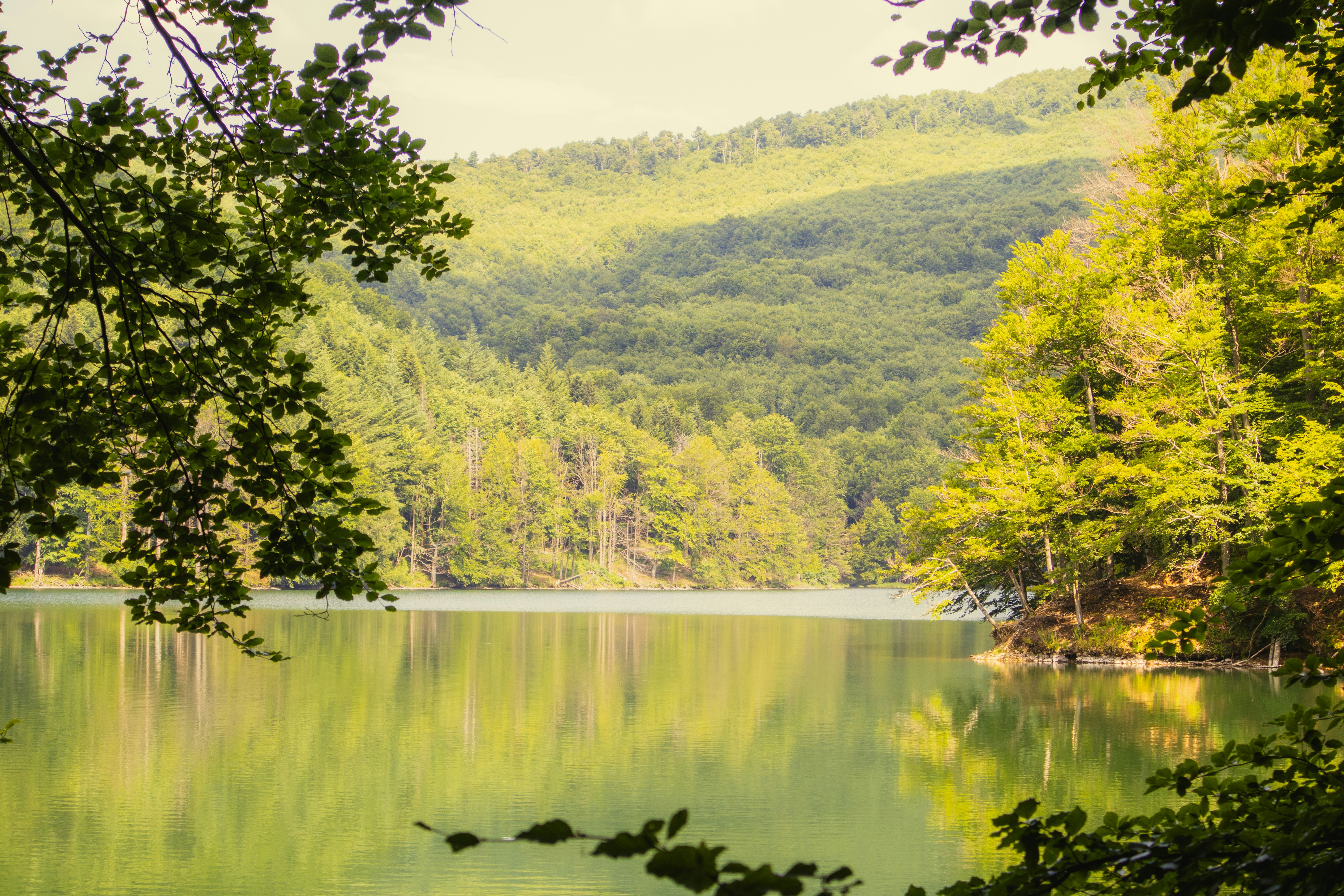 Photo by marko_lengyel