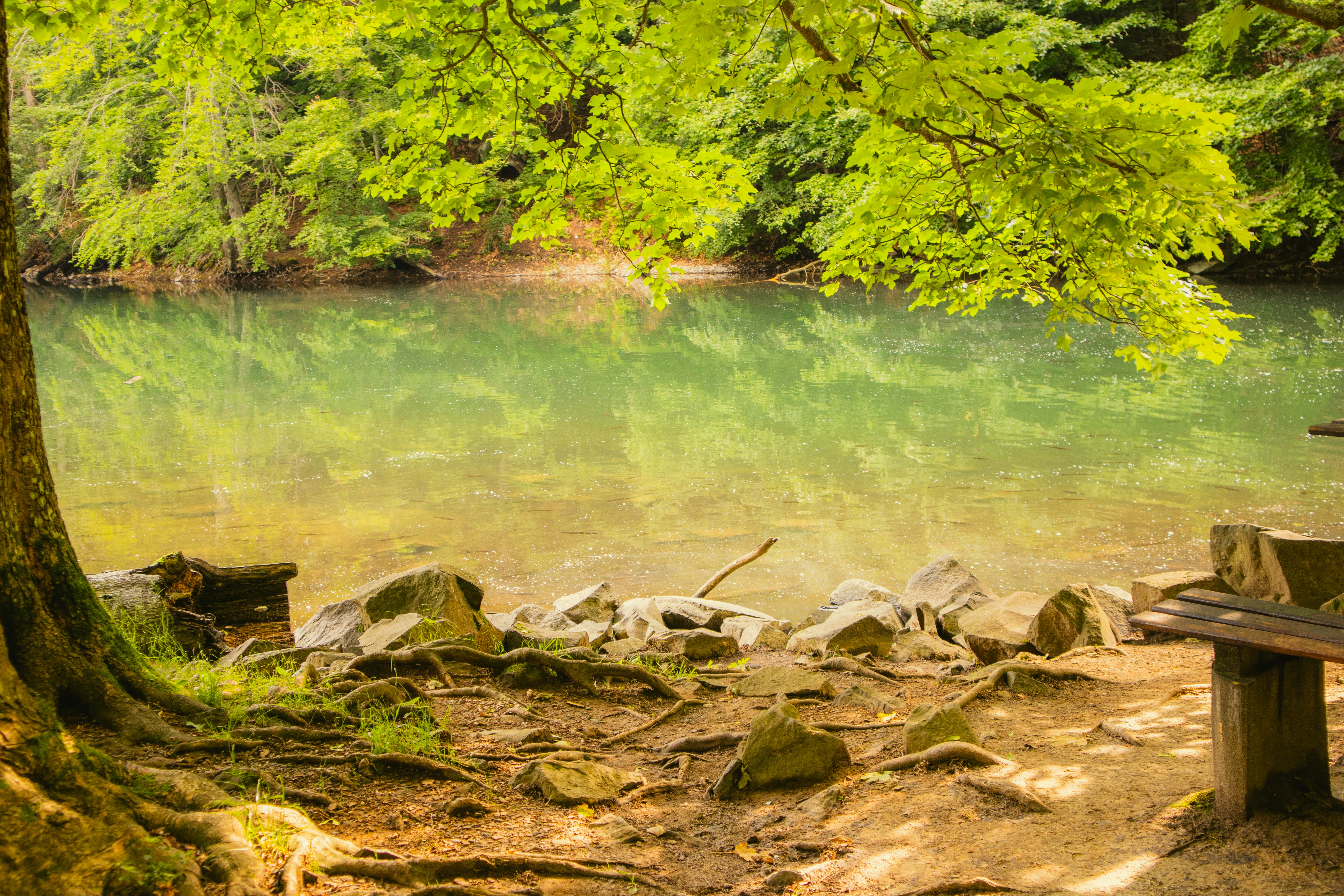 Photo by marko_lengyel