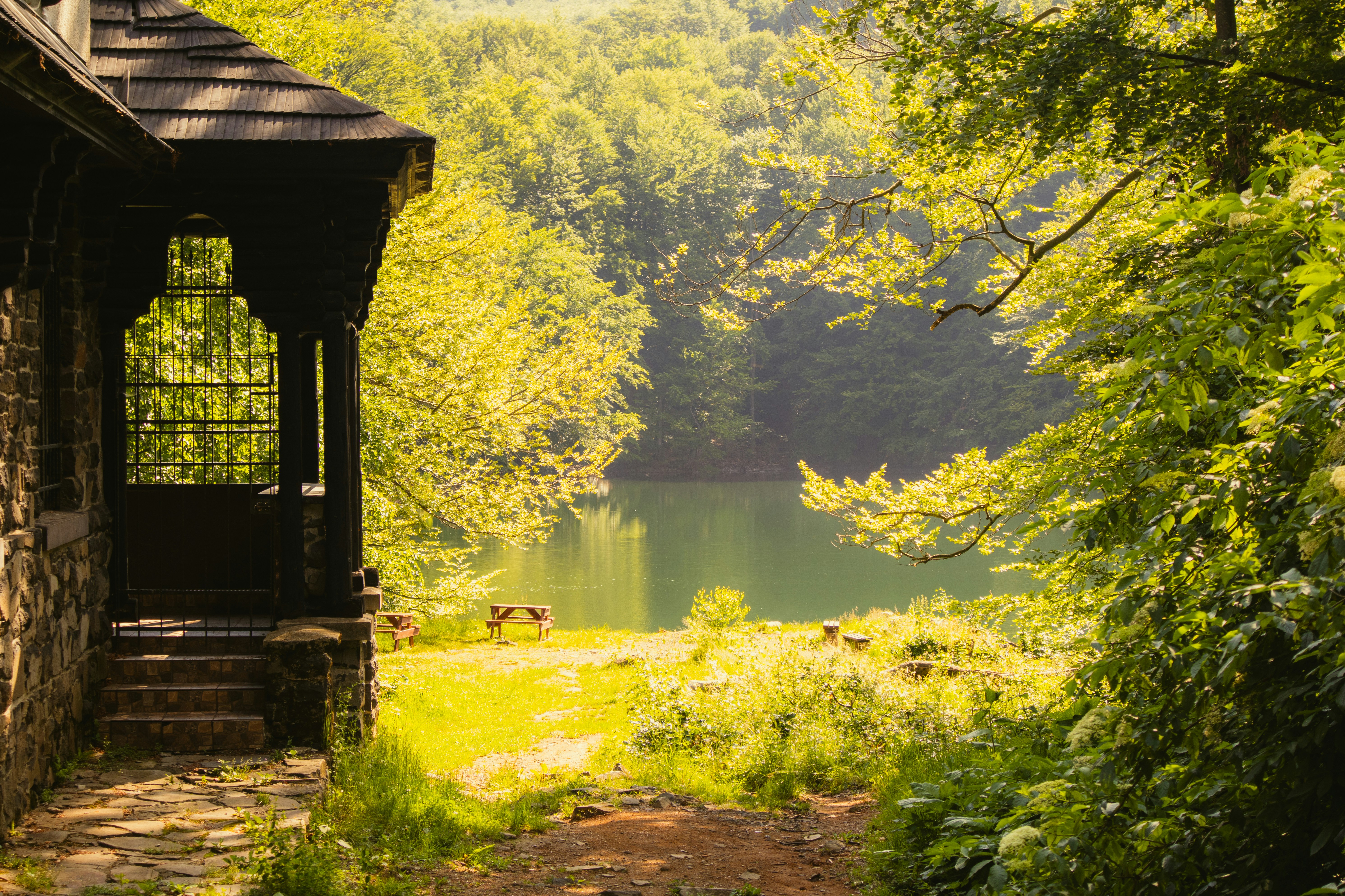 Photo by marko_lengyel