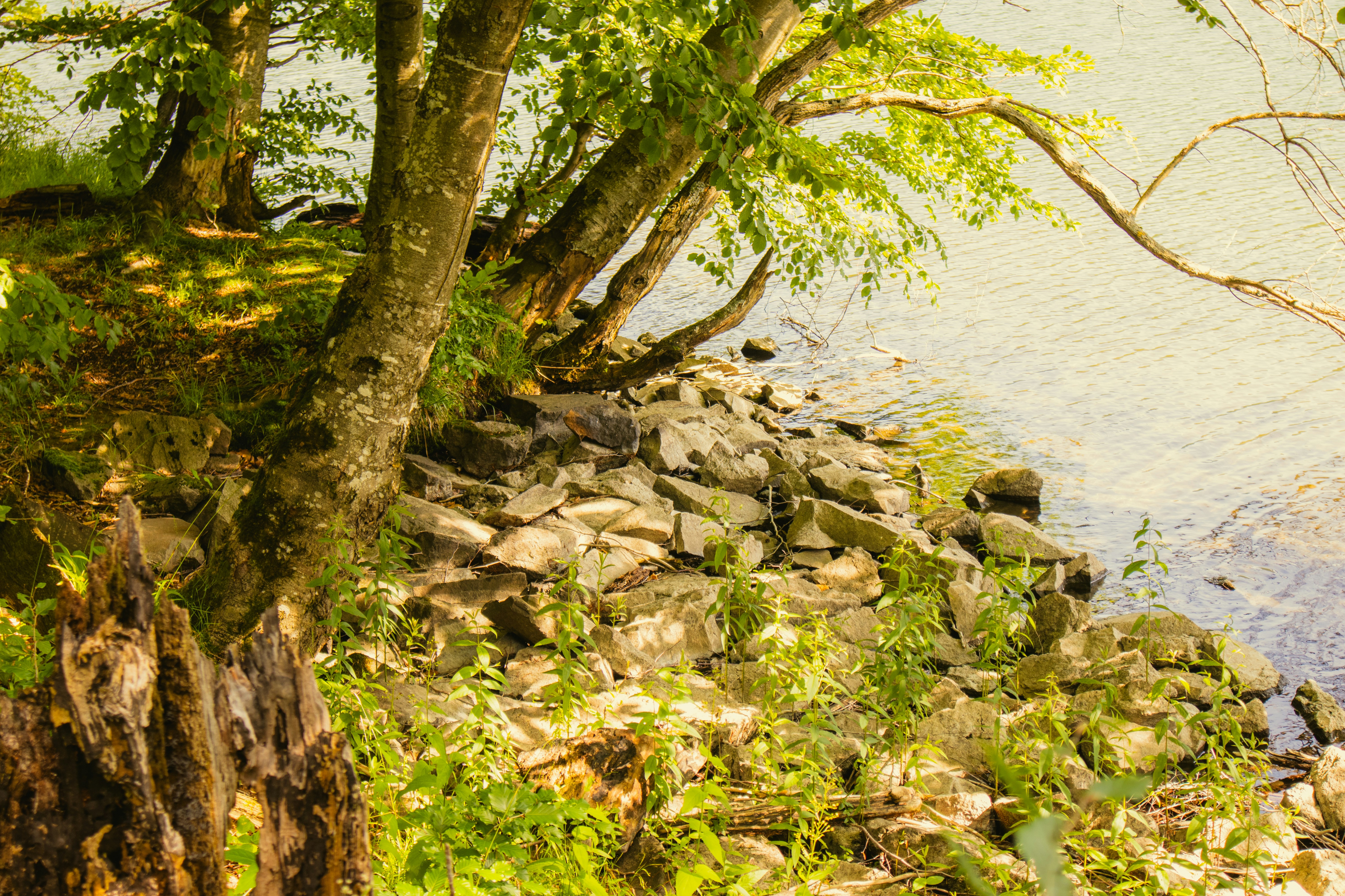 Photo by marko_lengyel