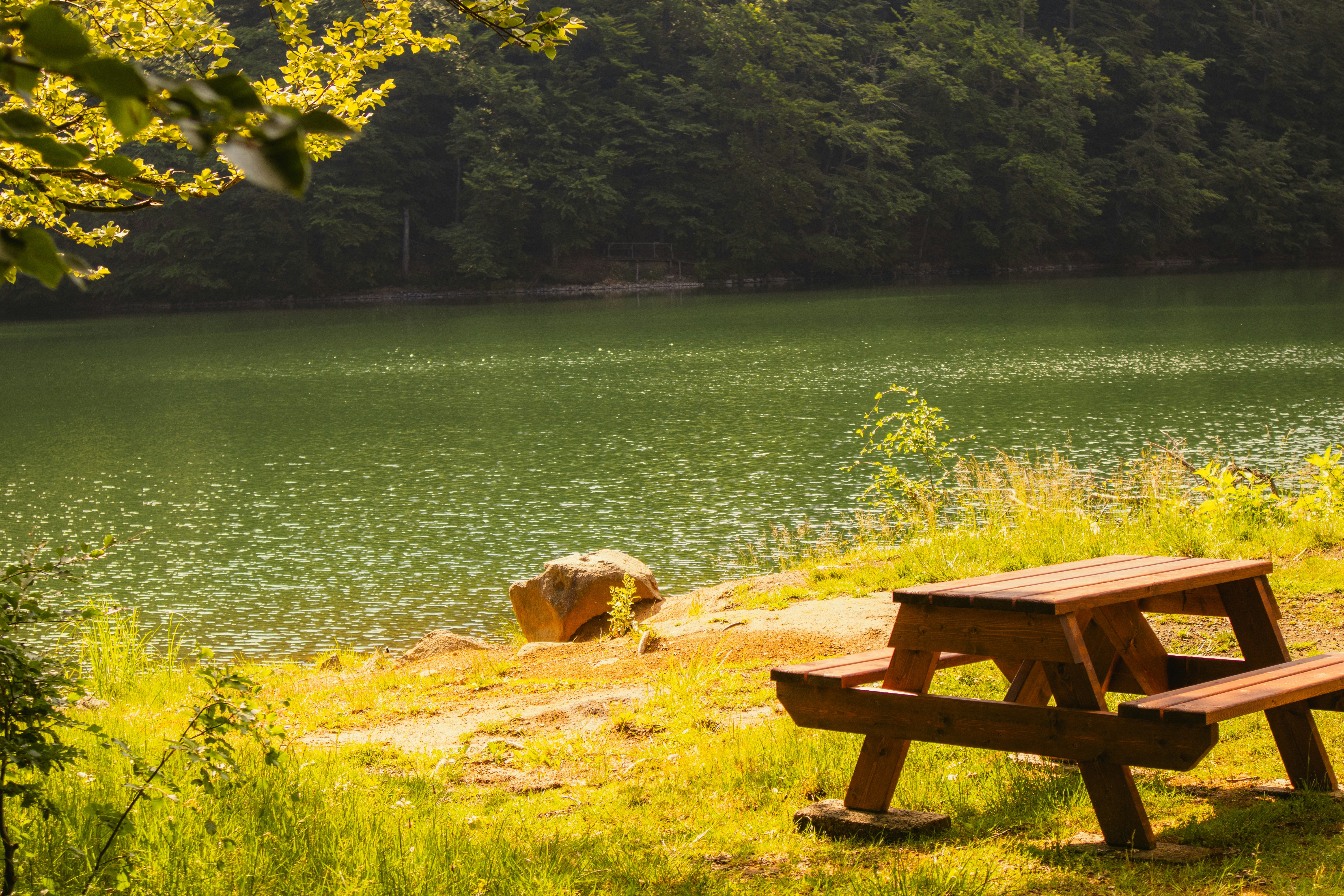 Photo by marko_lengyel