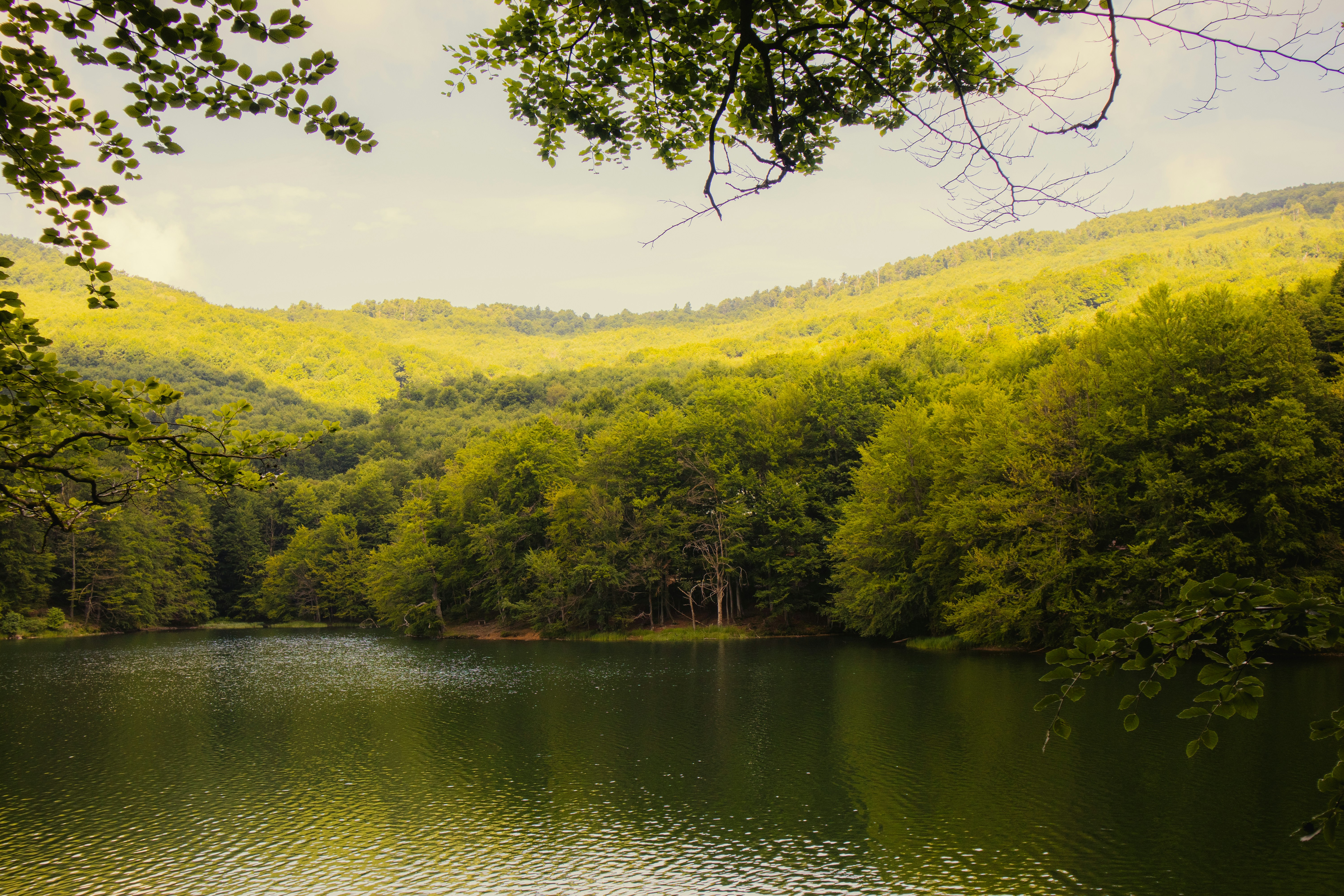 Photo by marko_lengyel