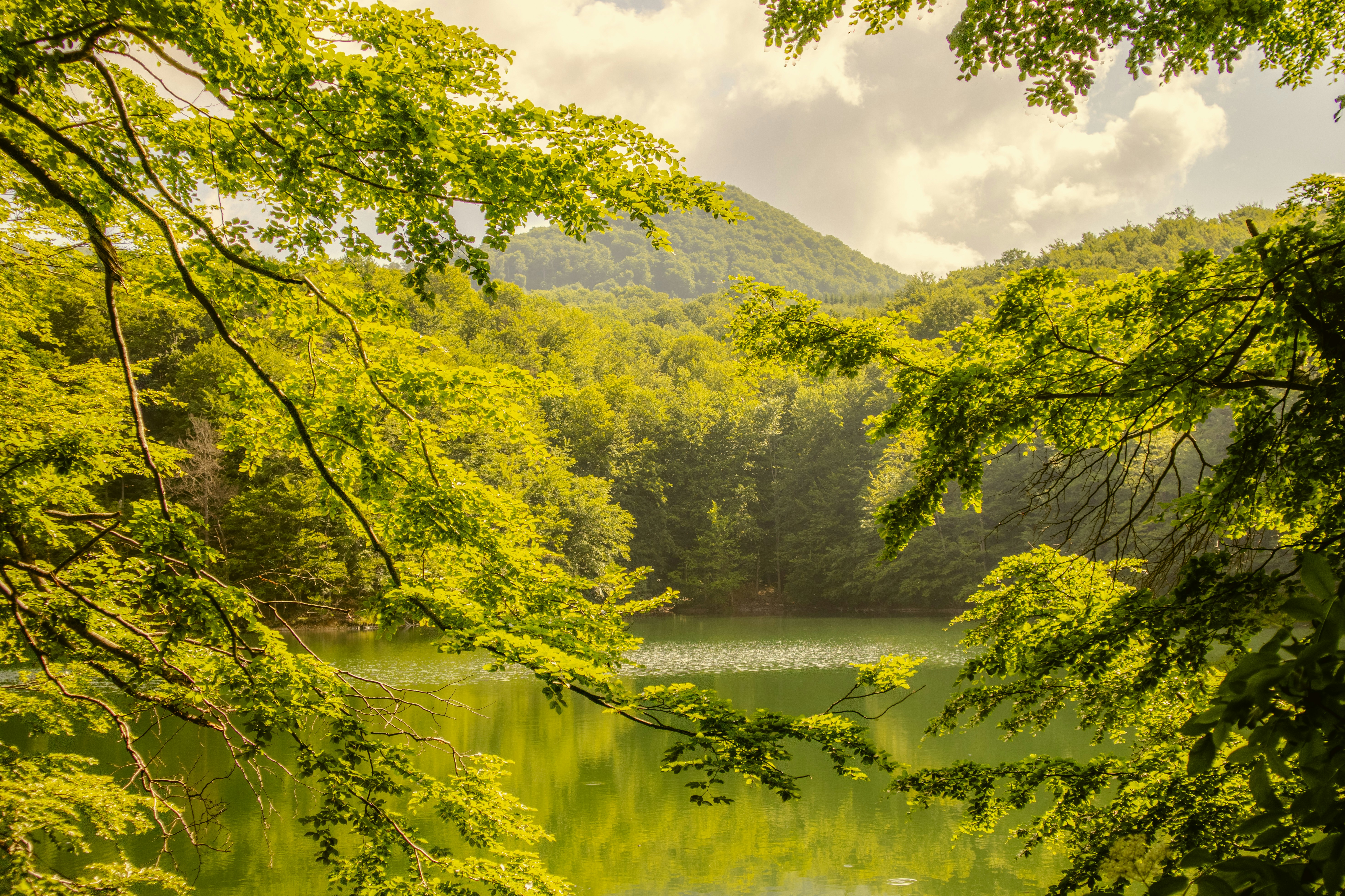 Photo by marko_lengyel