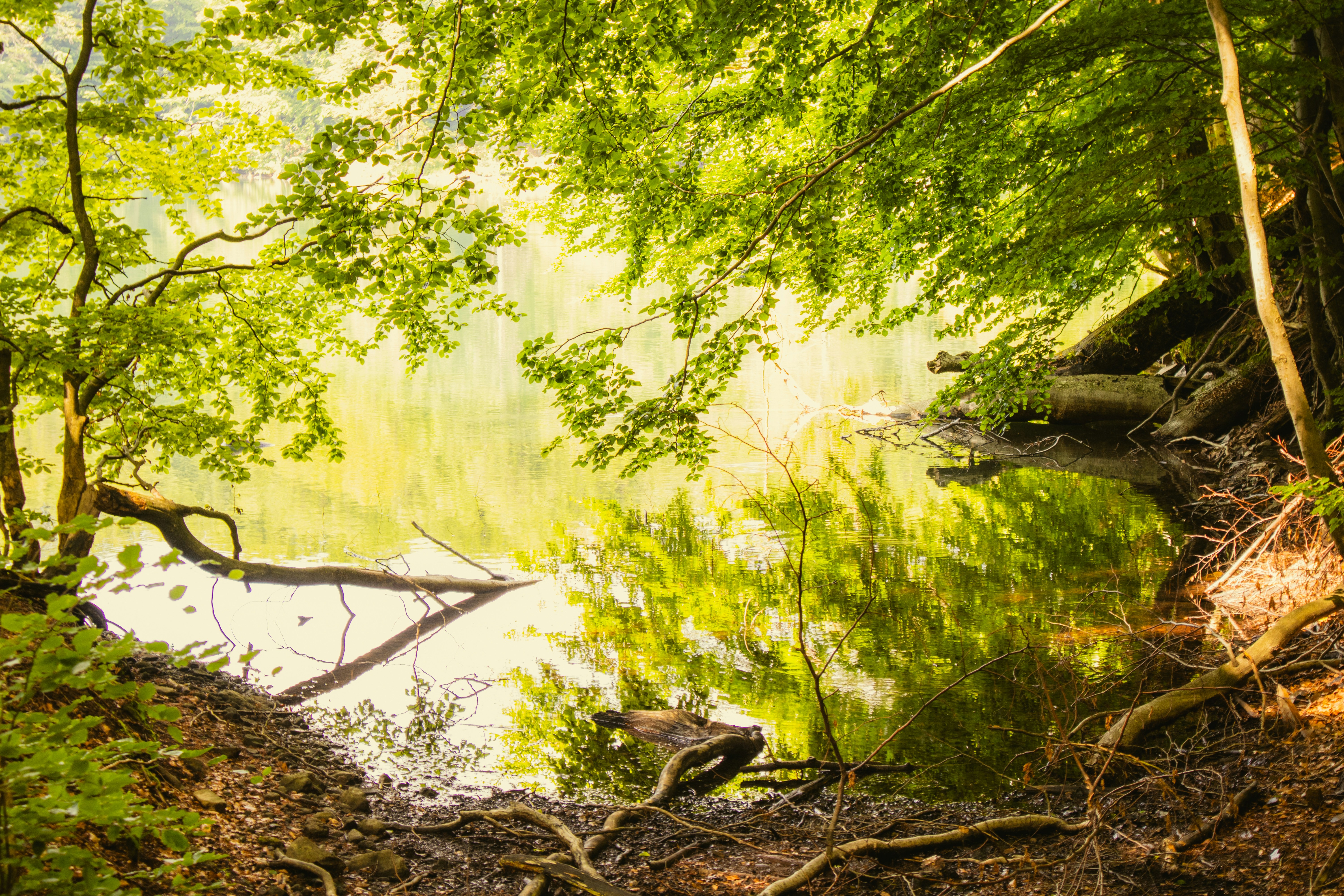 Photo by marko_lengyel