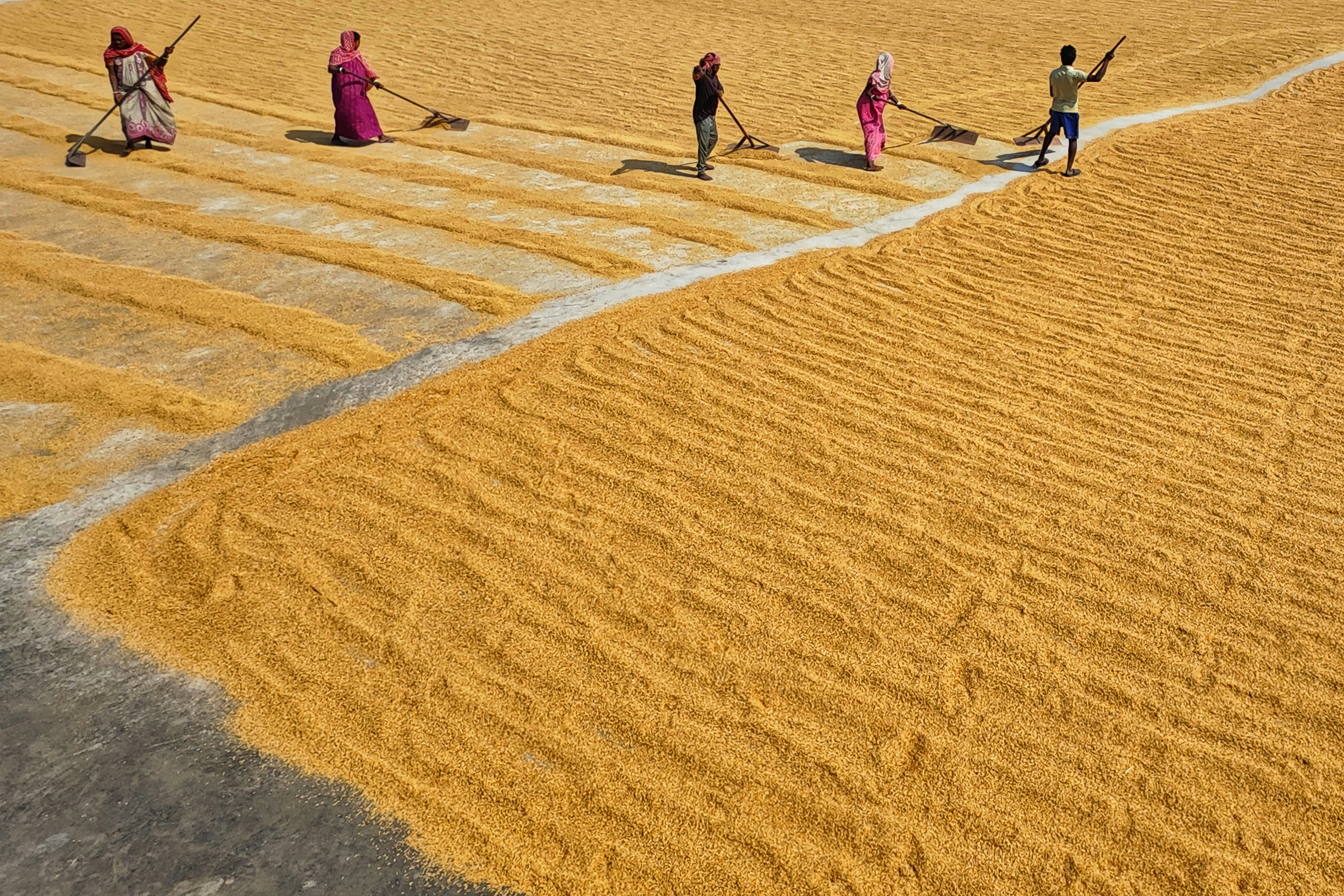 Photo by dibakar16roy