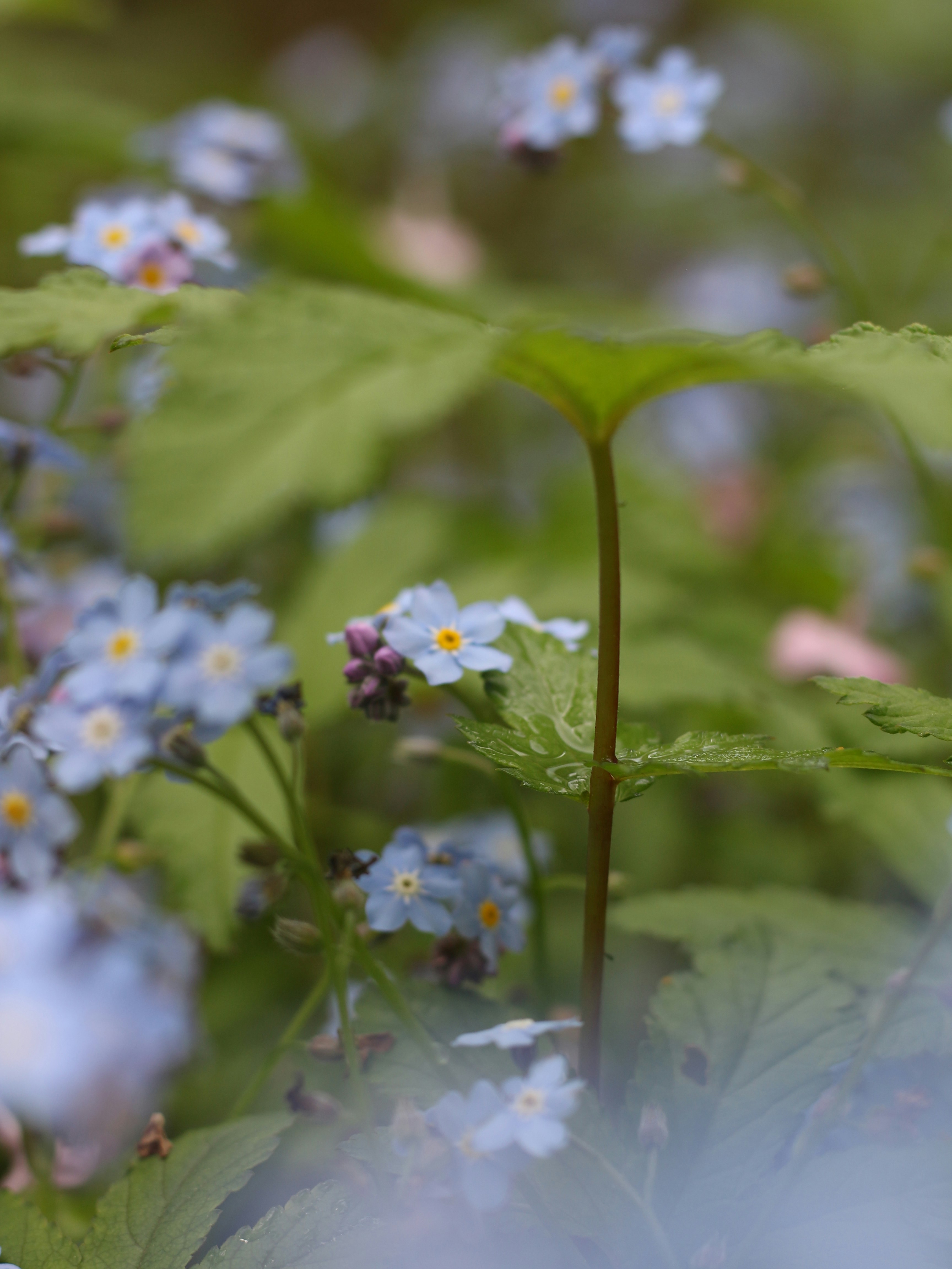Photo by midhunhk